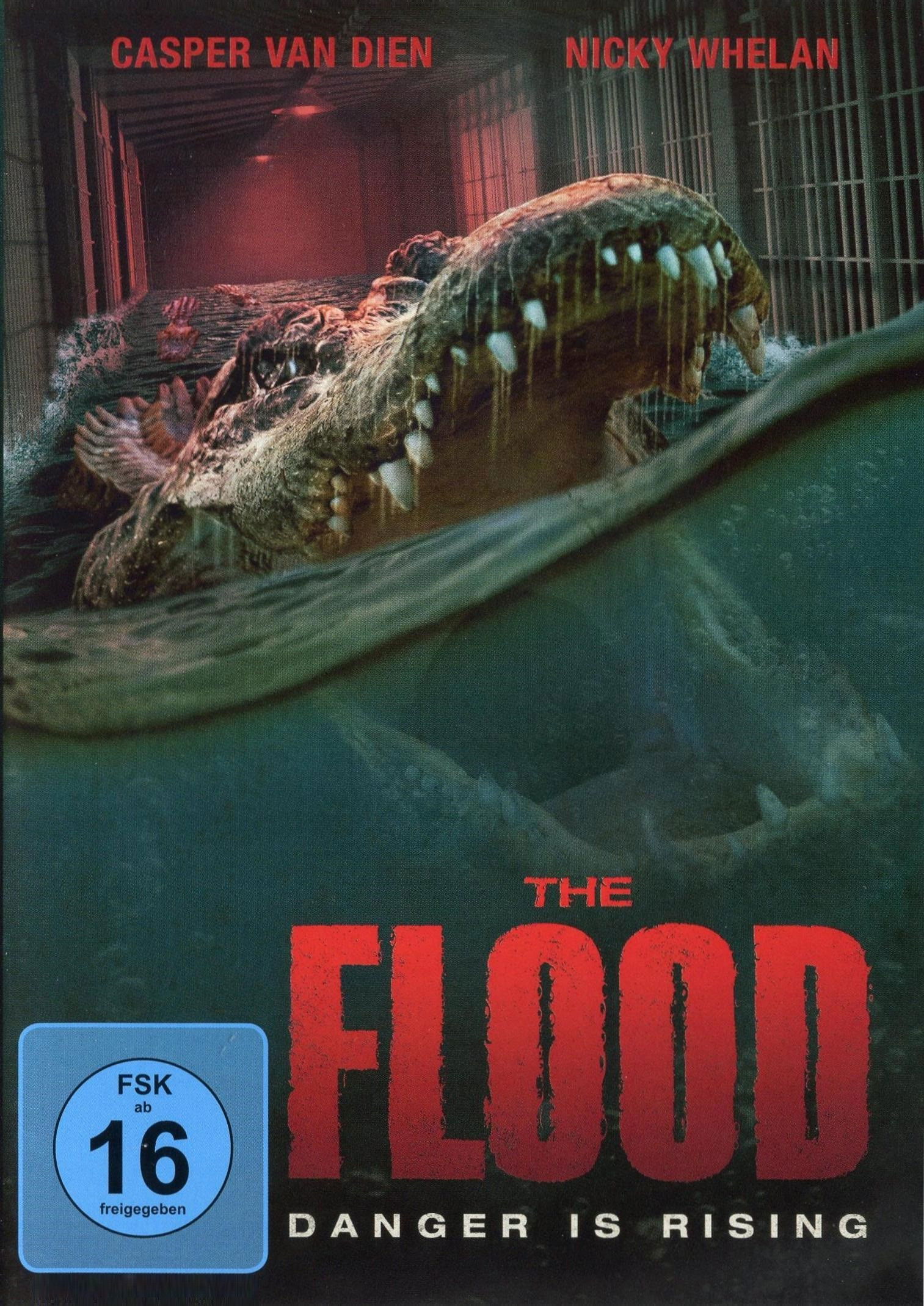  The Flood 