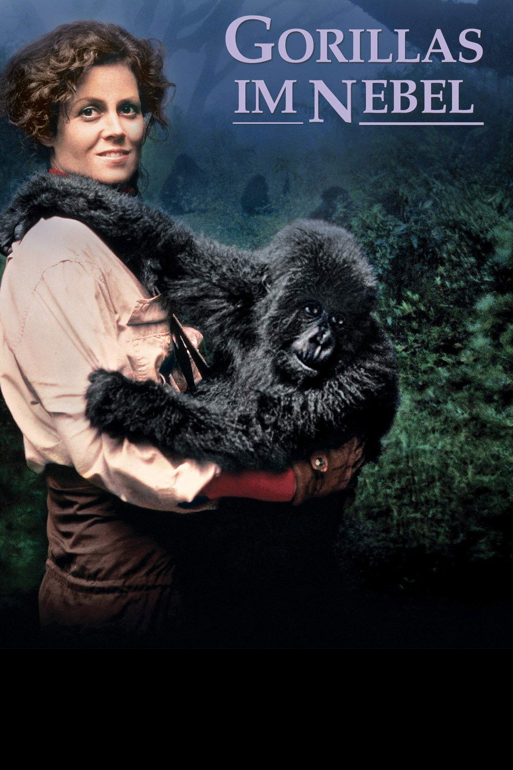  Gorillas im Nebel 