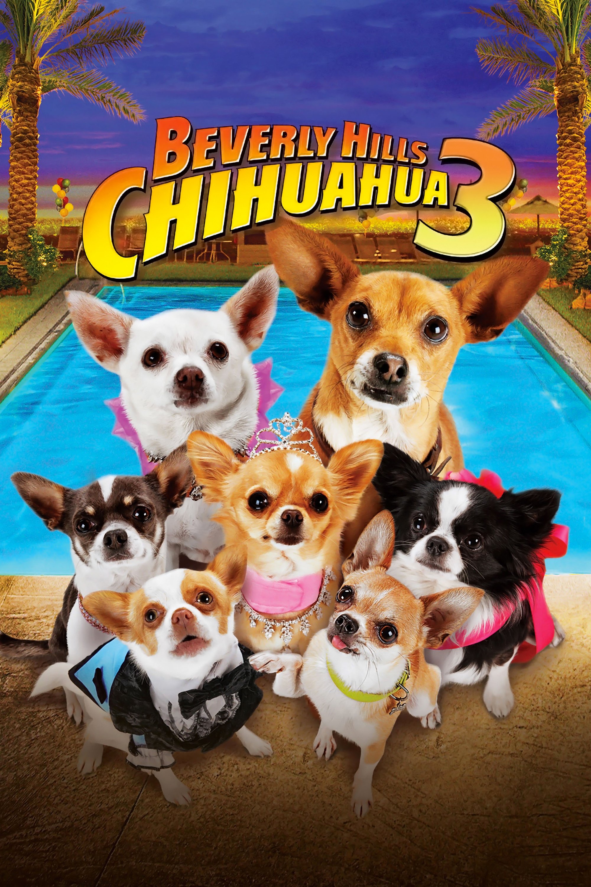  Beverly Hills Chihuahua 3 - Viva La Fiesta! 