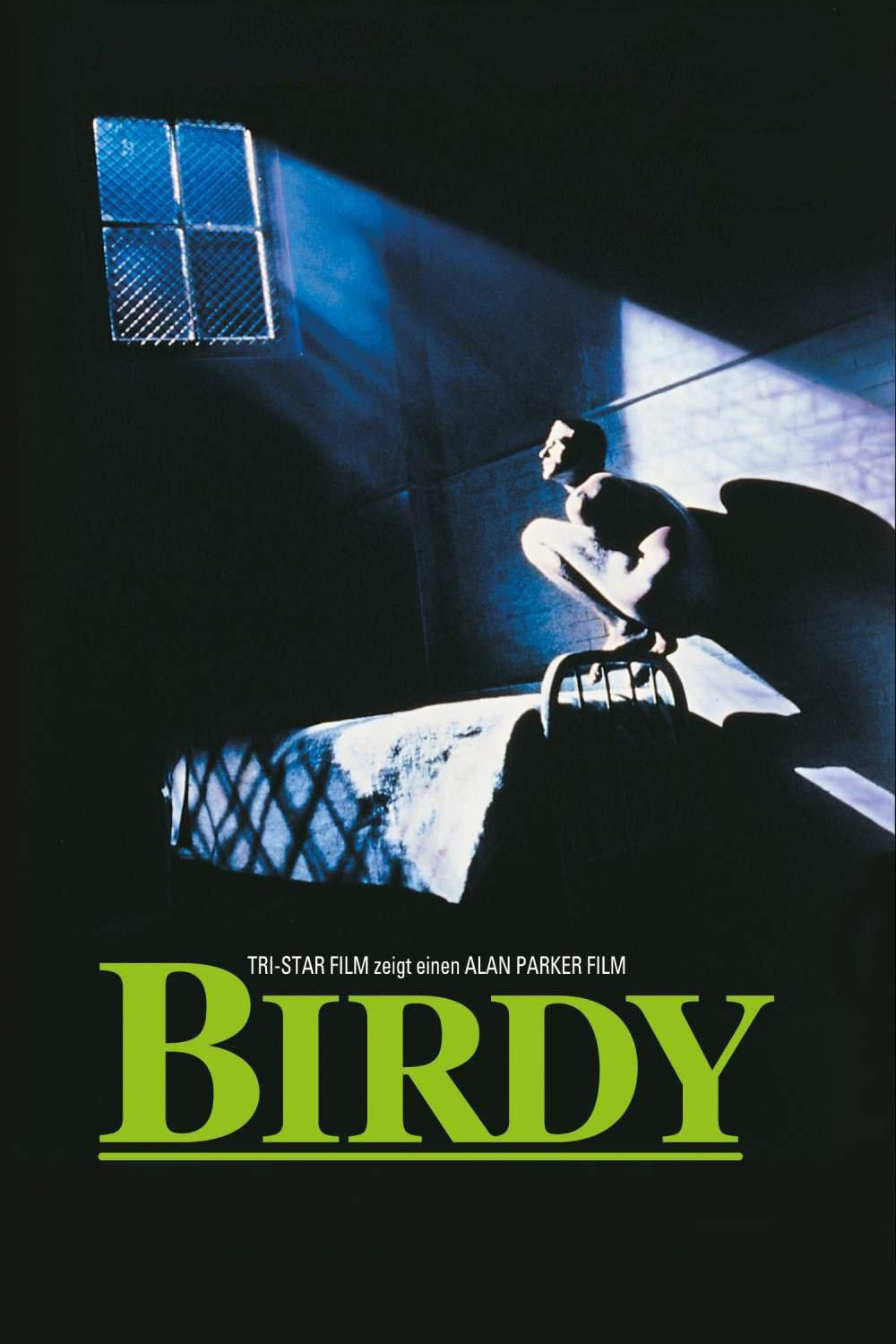  Birdy 