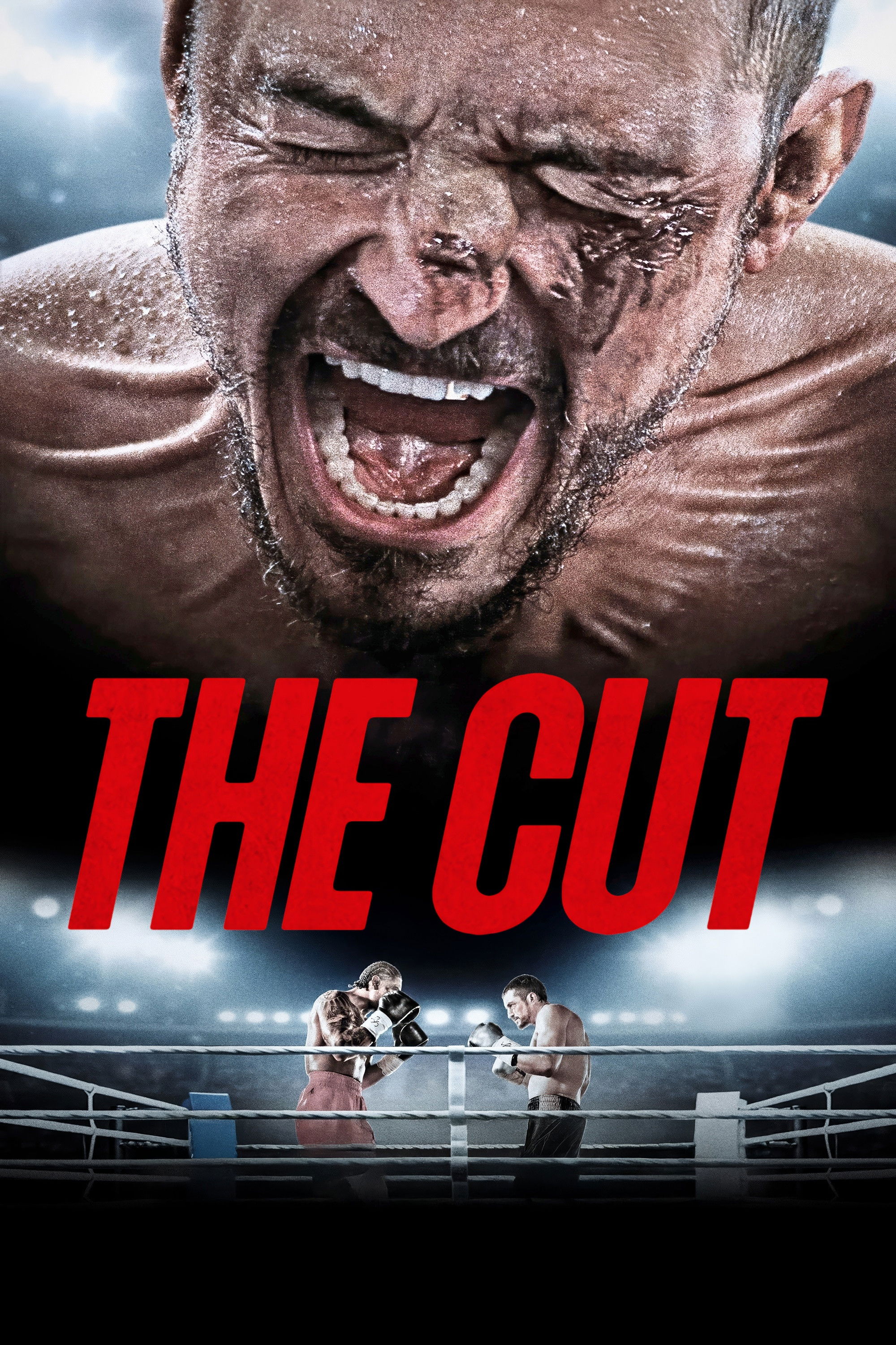  The Cut 