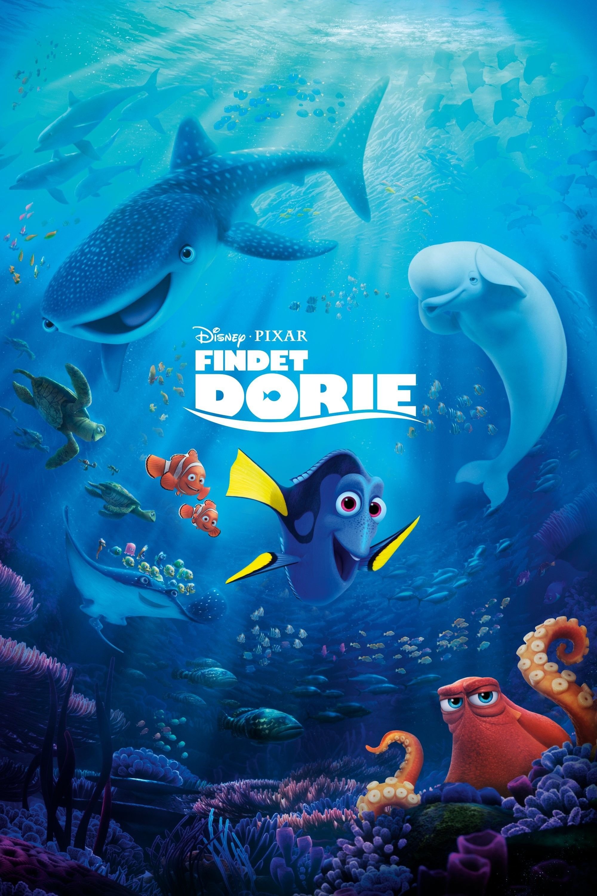  Findet Dorie 
