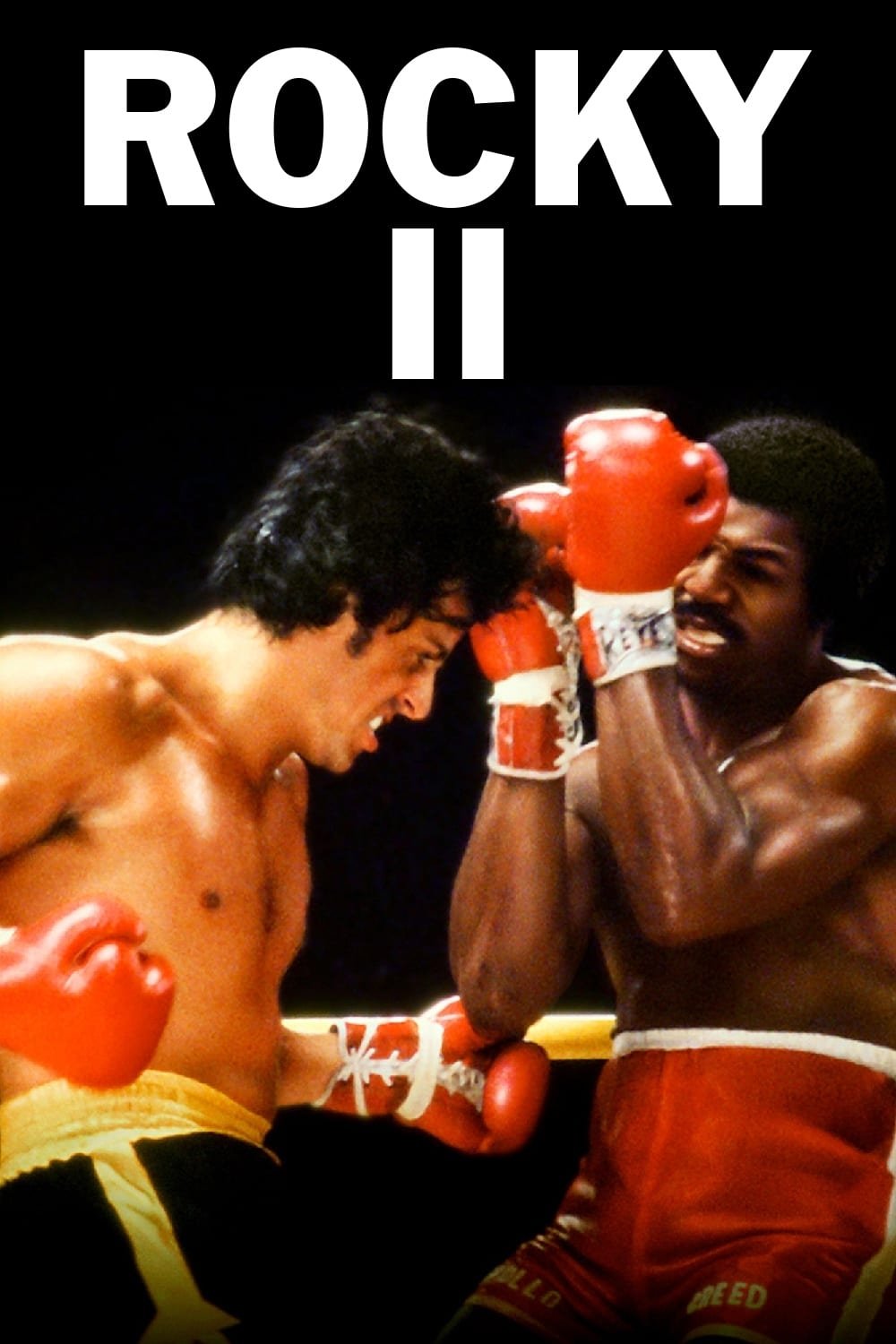  Rocky II 