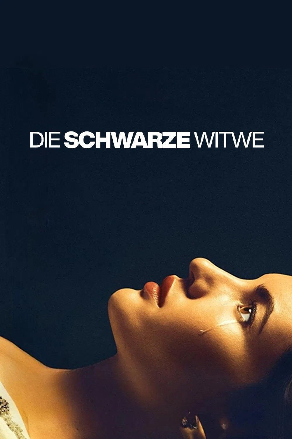  Die schwarze Witwe 