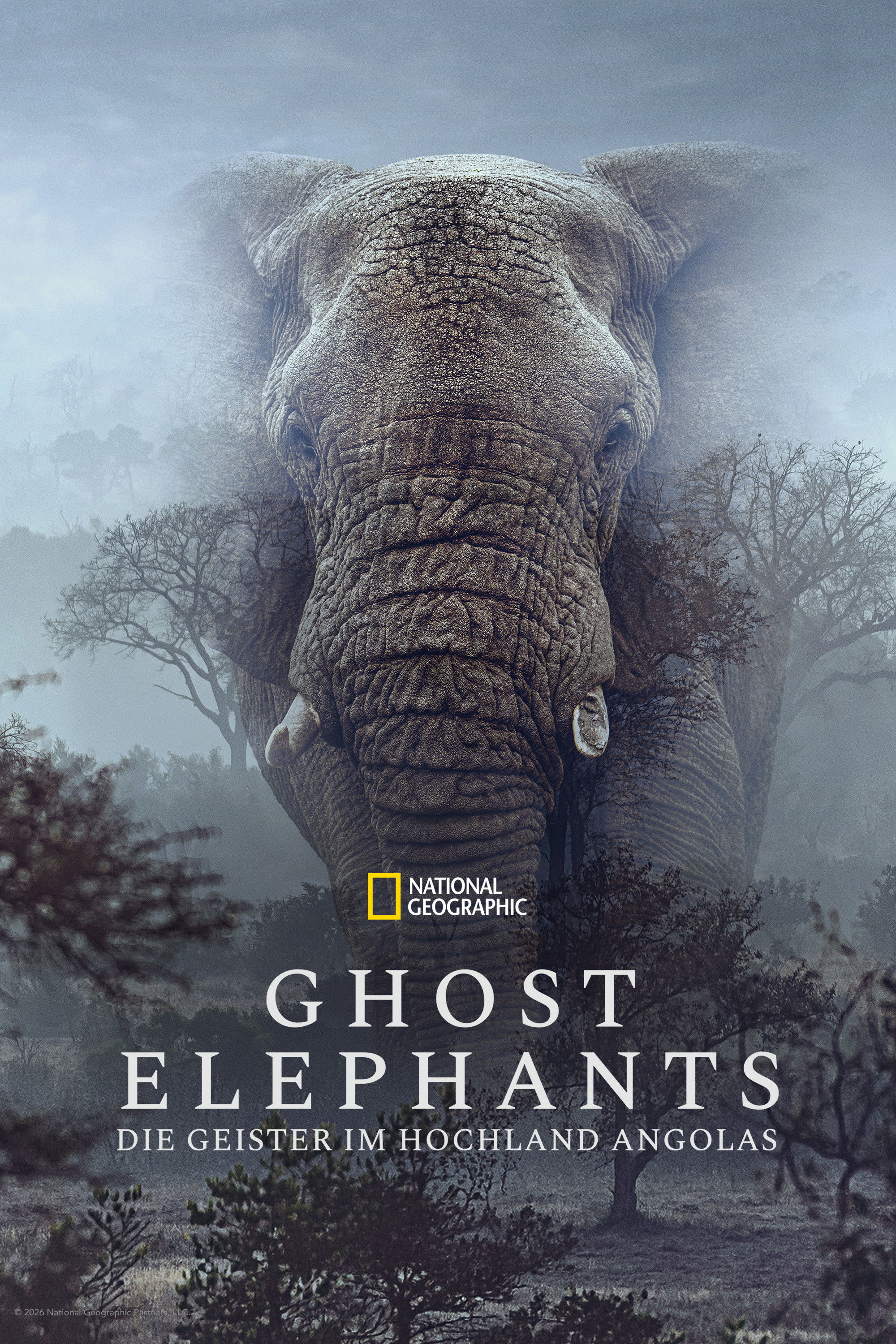  Ghost Elephants - Die Geister im Hochland Angolas 