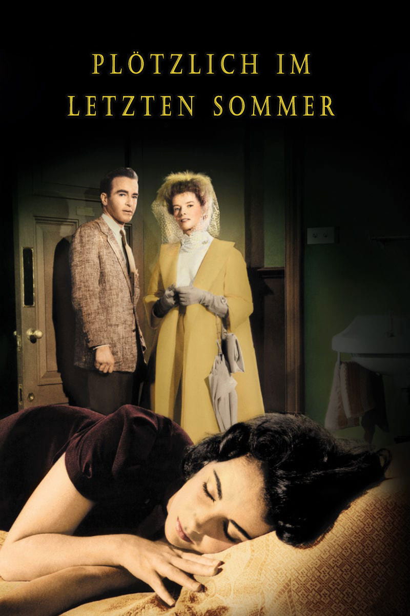  Plötzlich im letzten Sommer 