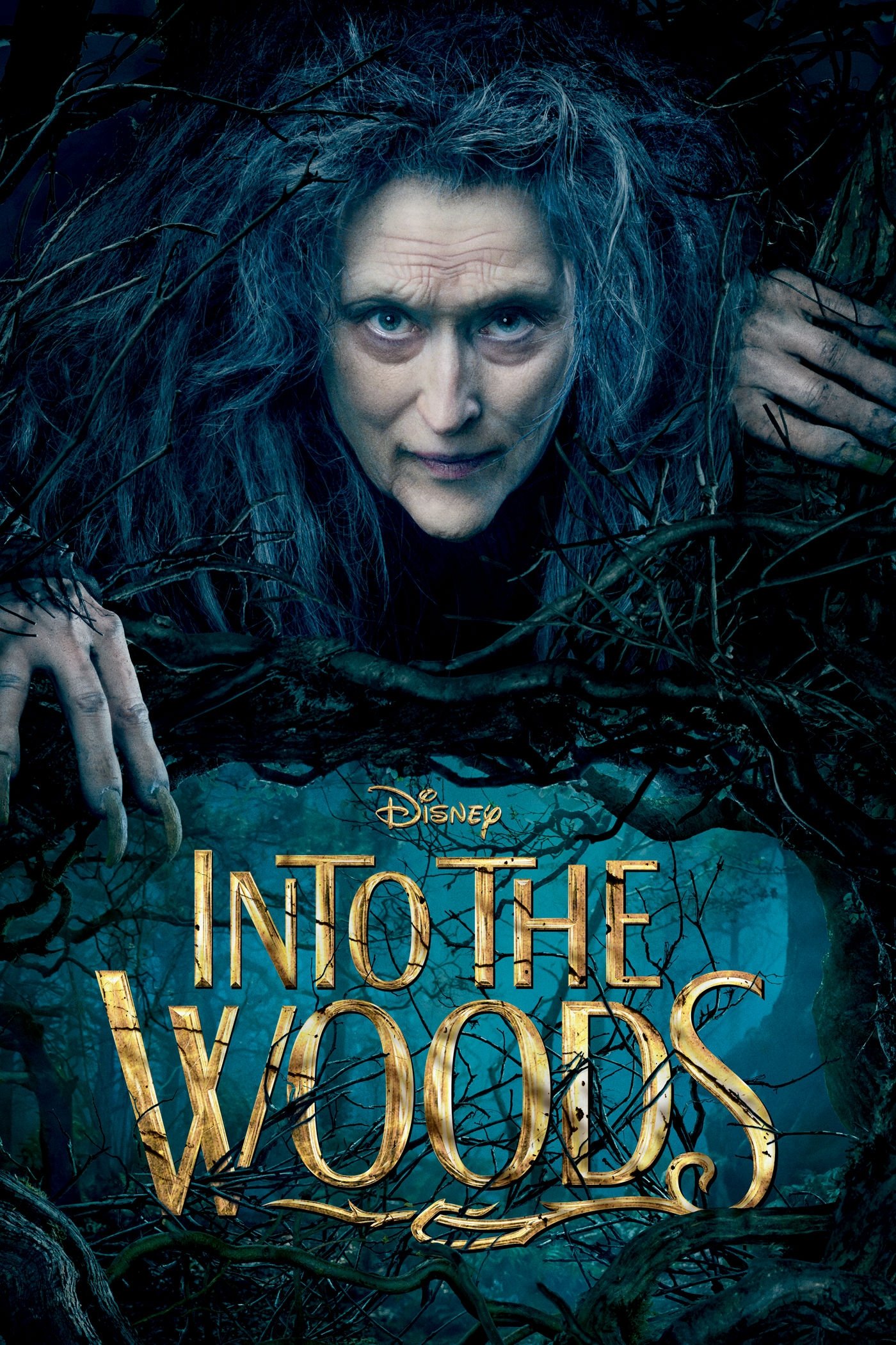  Into the Woods 