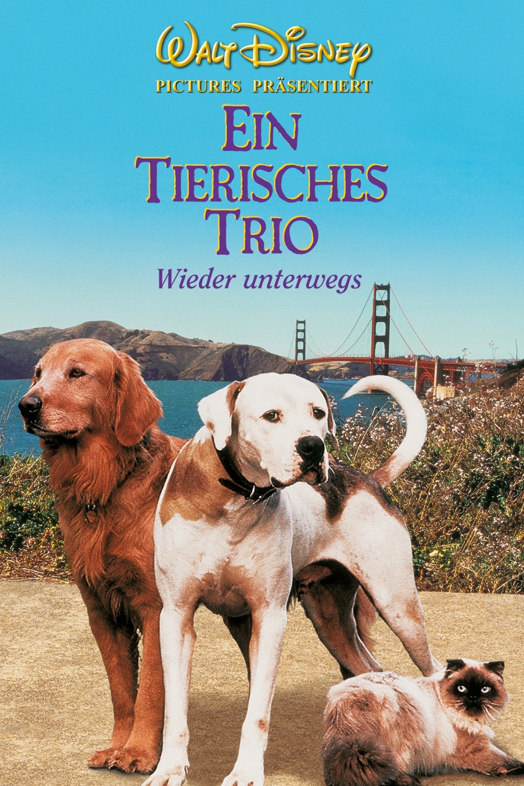  Ein tierisches Trio - Wieder unterwegs 