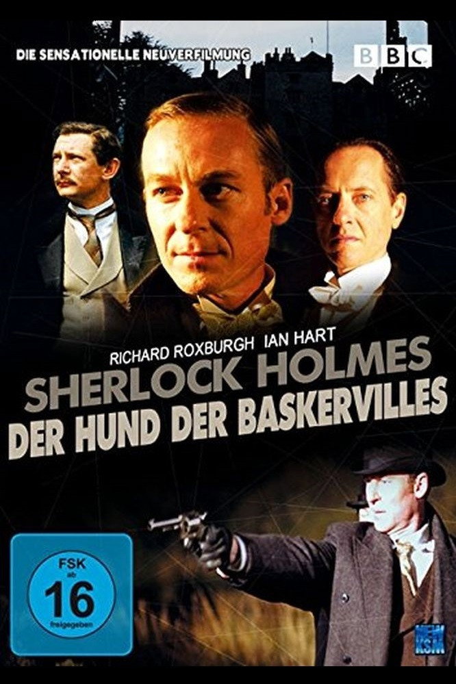  Der Hund der Baskervilles 