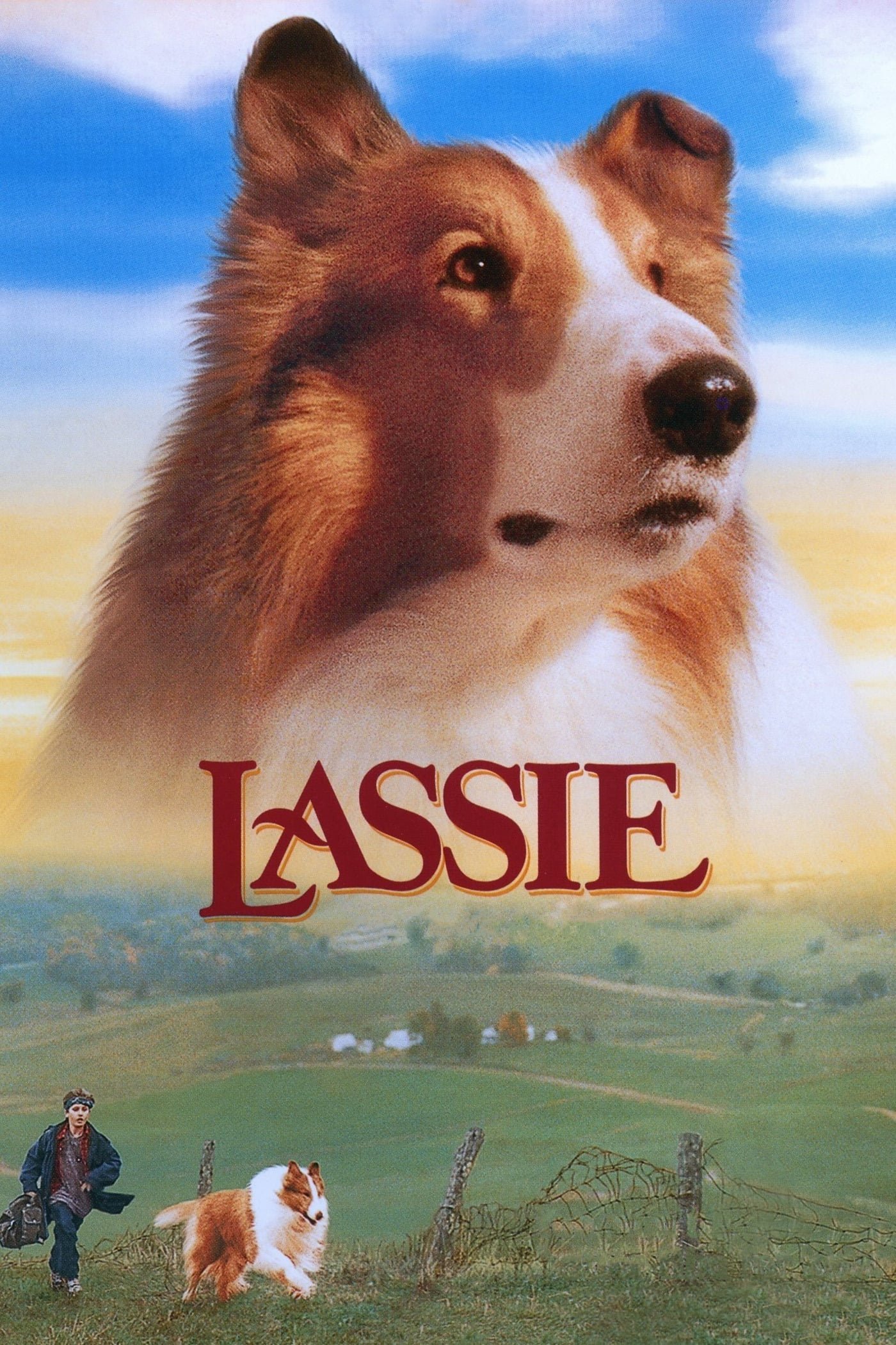  Lassie 