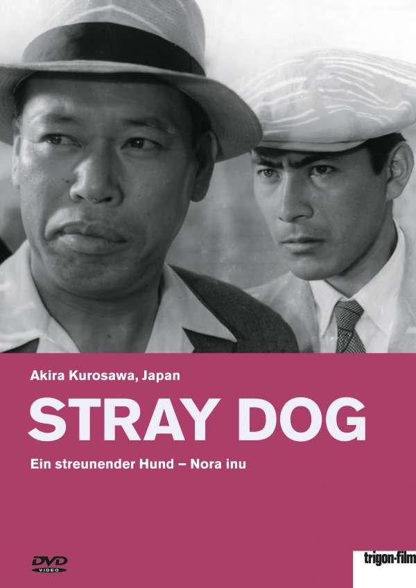  Ein streunender Hund 