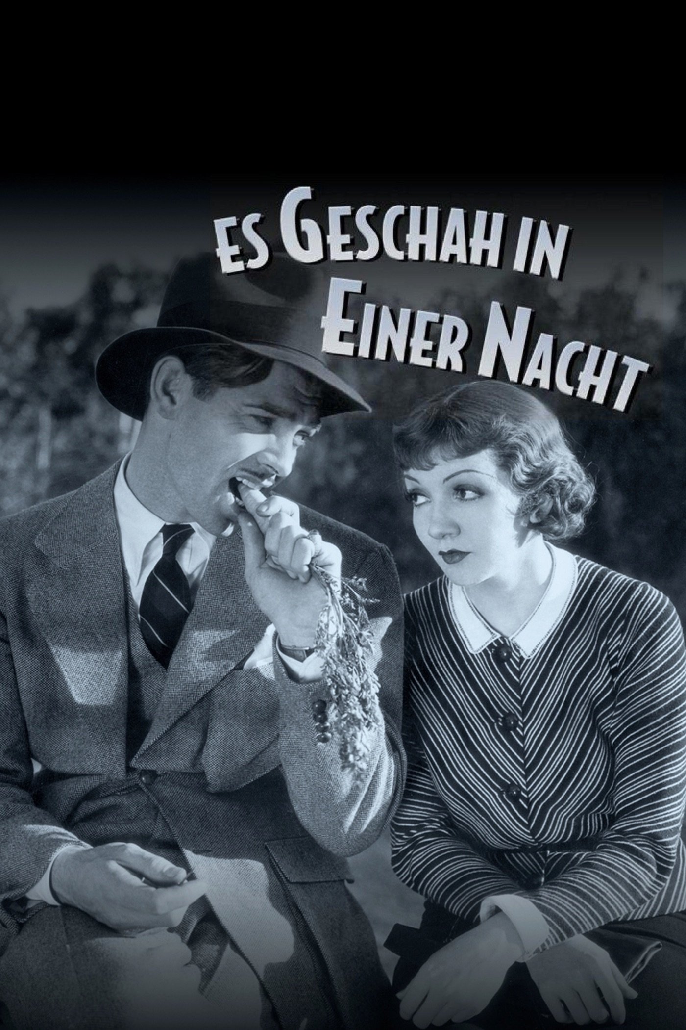  Es geschah in einer Nacht 