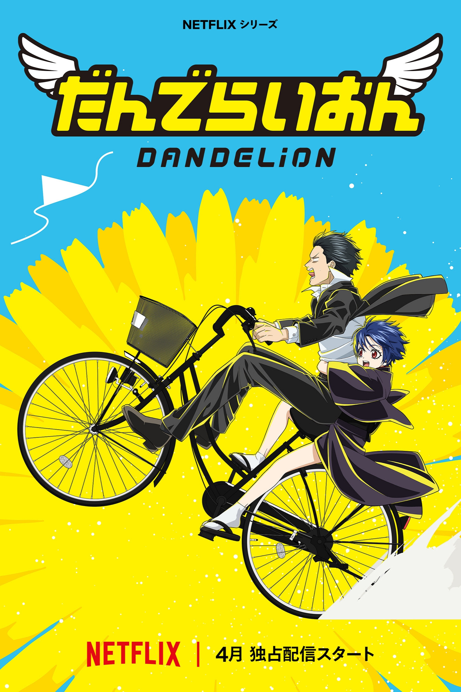  Dandelion 