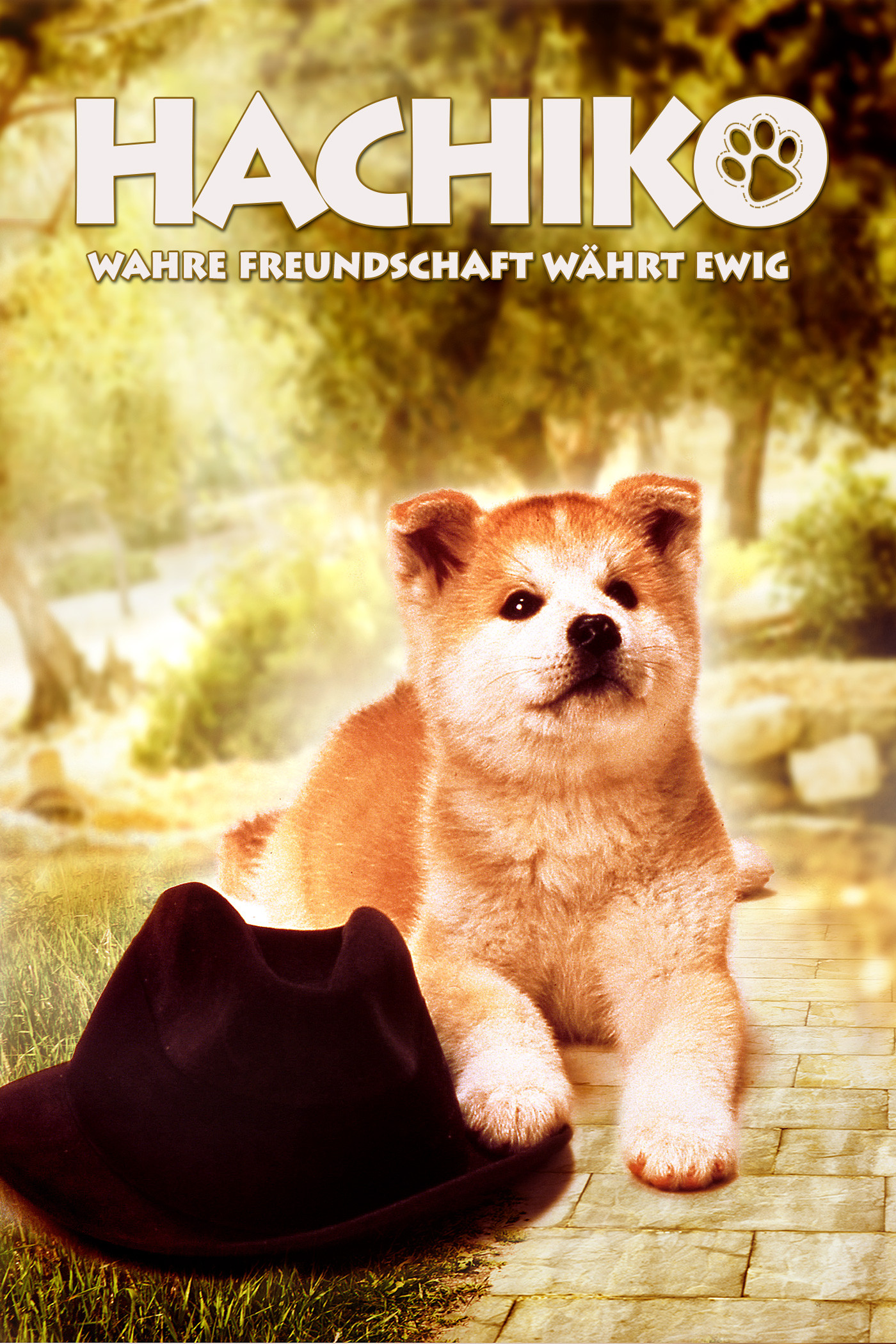  Hachiko - Wahre Freundschaft währt ewig 