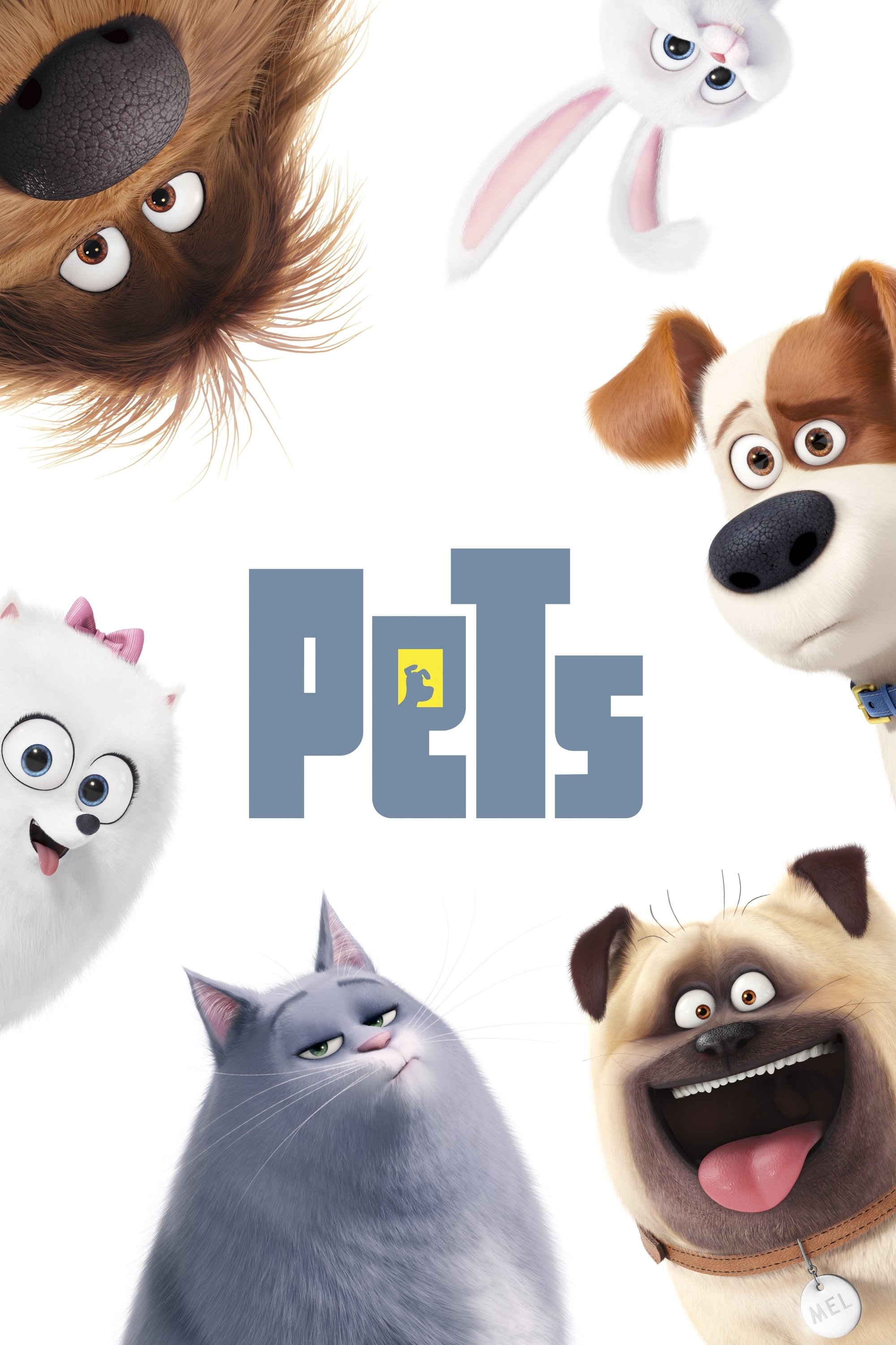  Pets 
