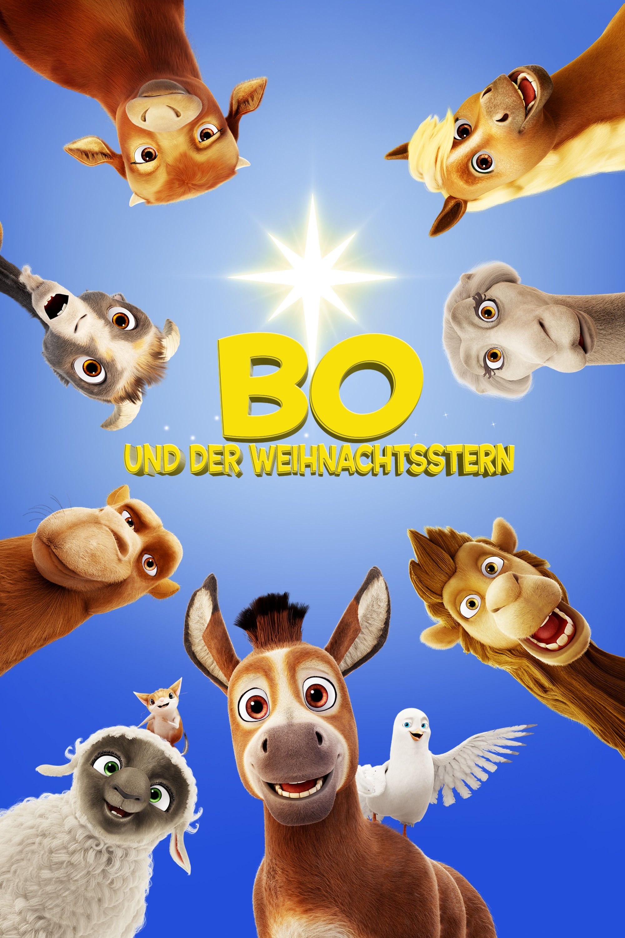  Bo und der Weihnachtsstern 