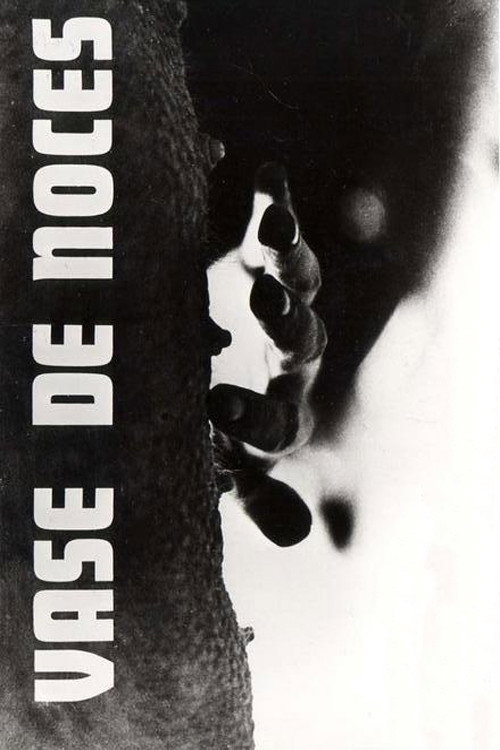  Vase de Noces 