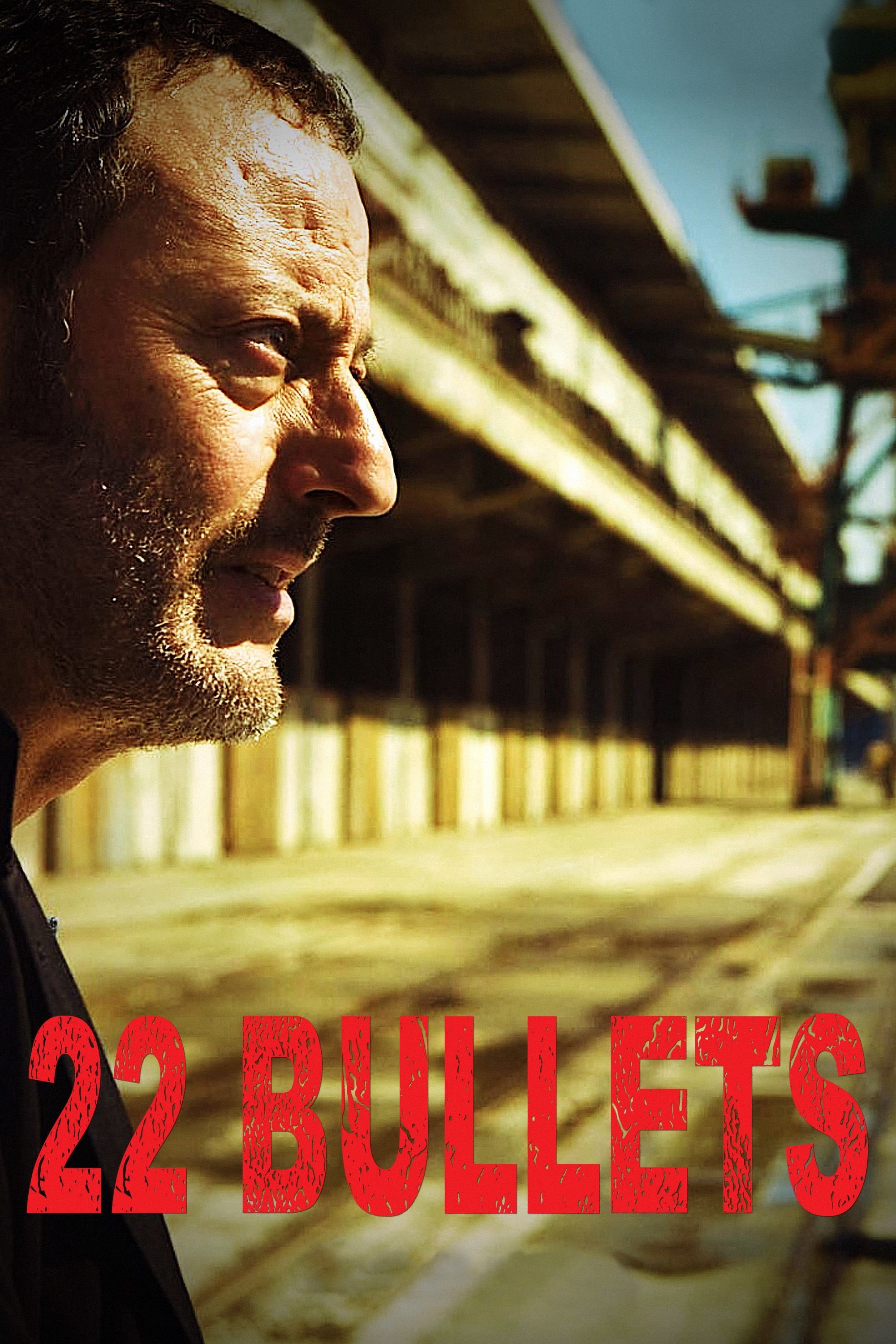  22 Bullets 