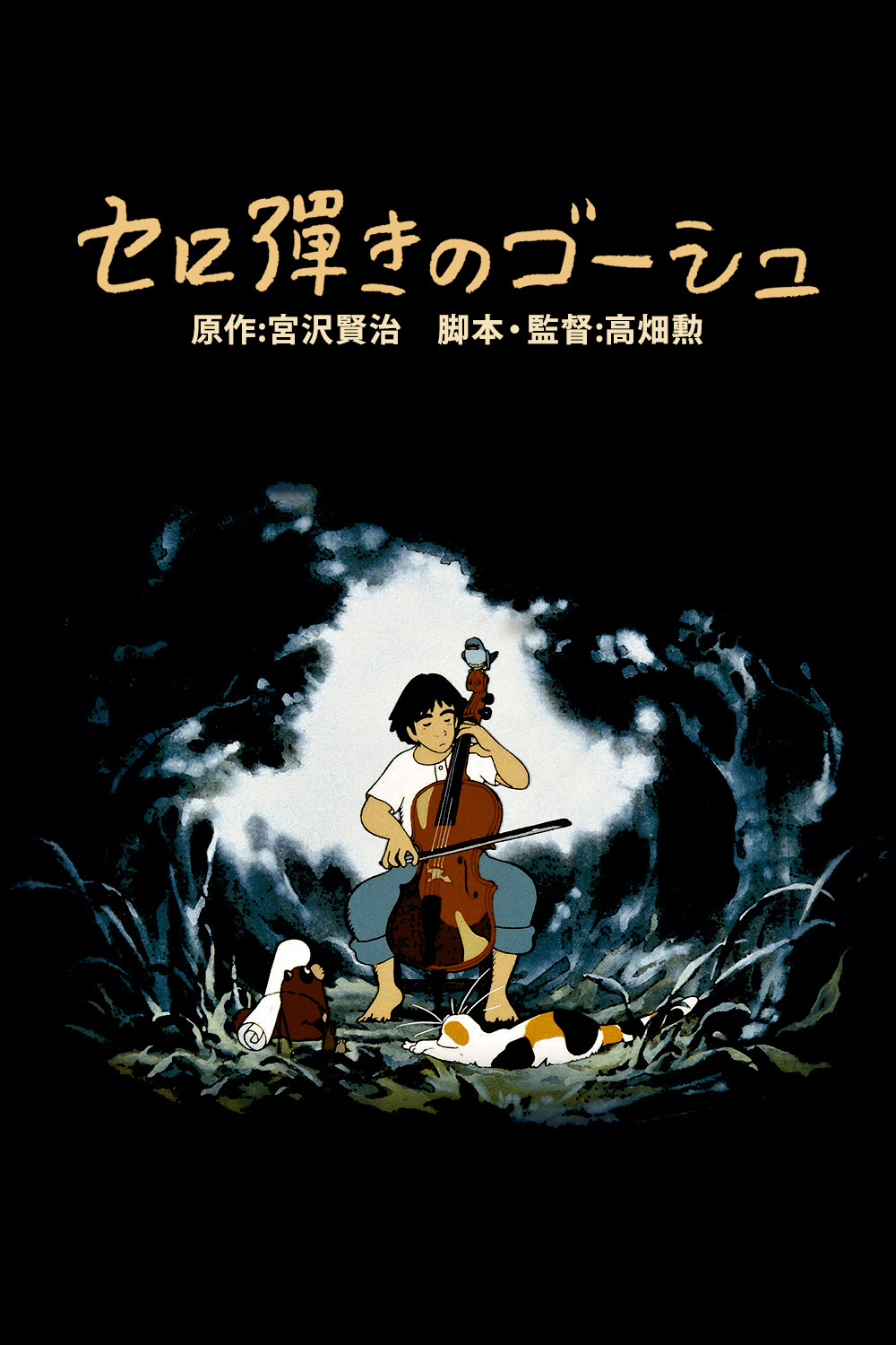  Goshu, der Cellist 