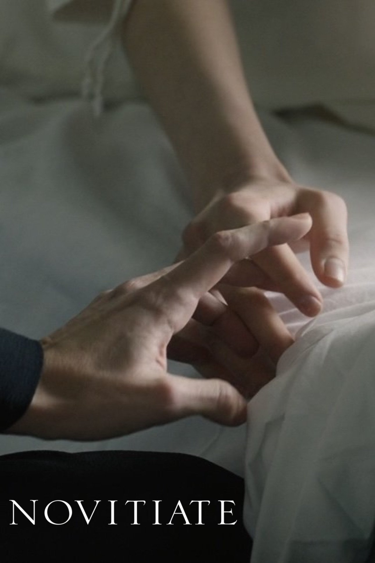  Novitiate 