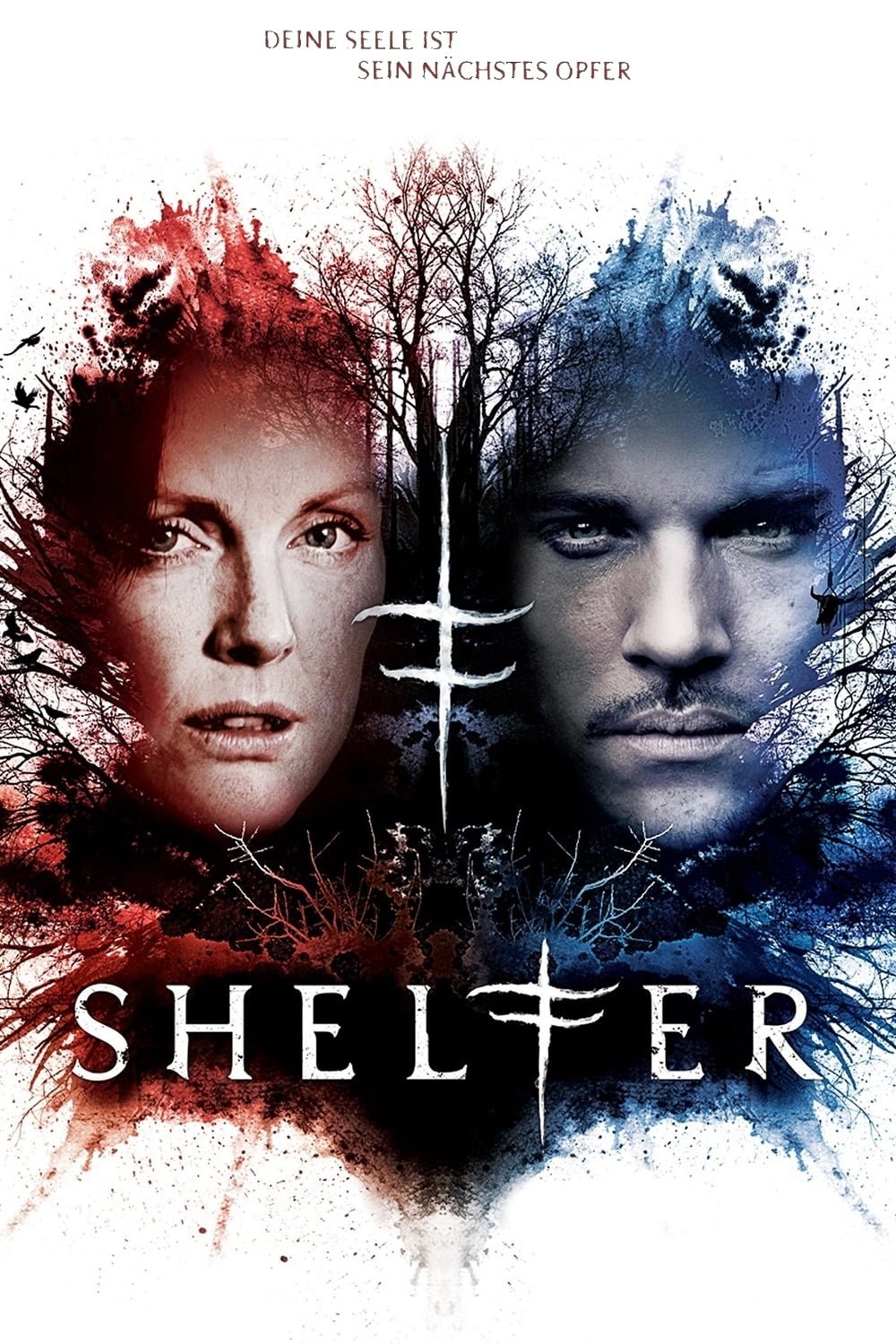  Shelter 
