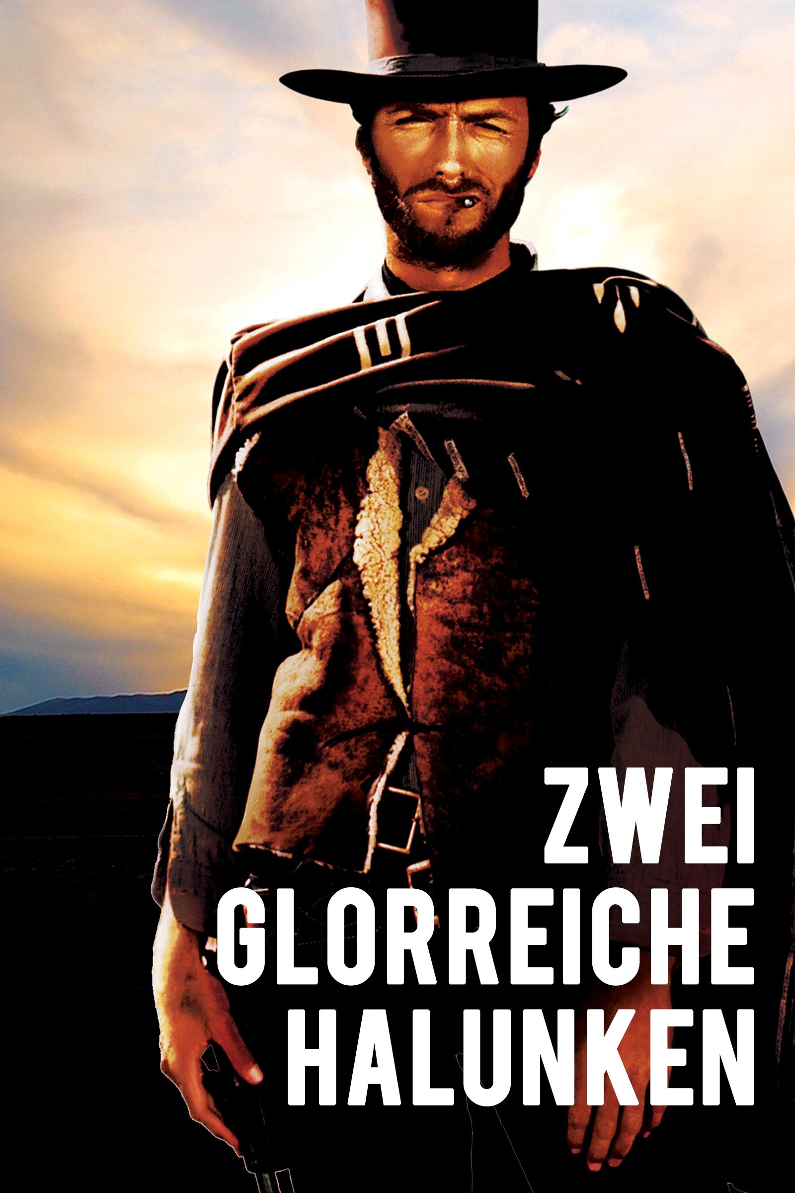  Zwei glorreiche Halunken 