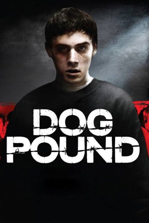  Dog Pound 