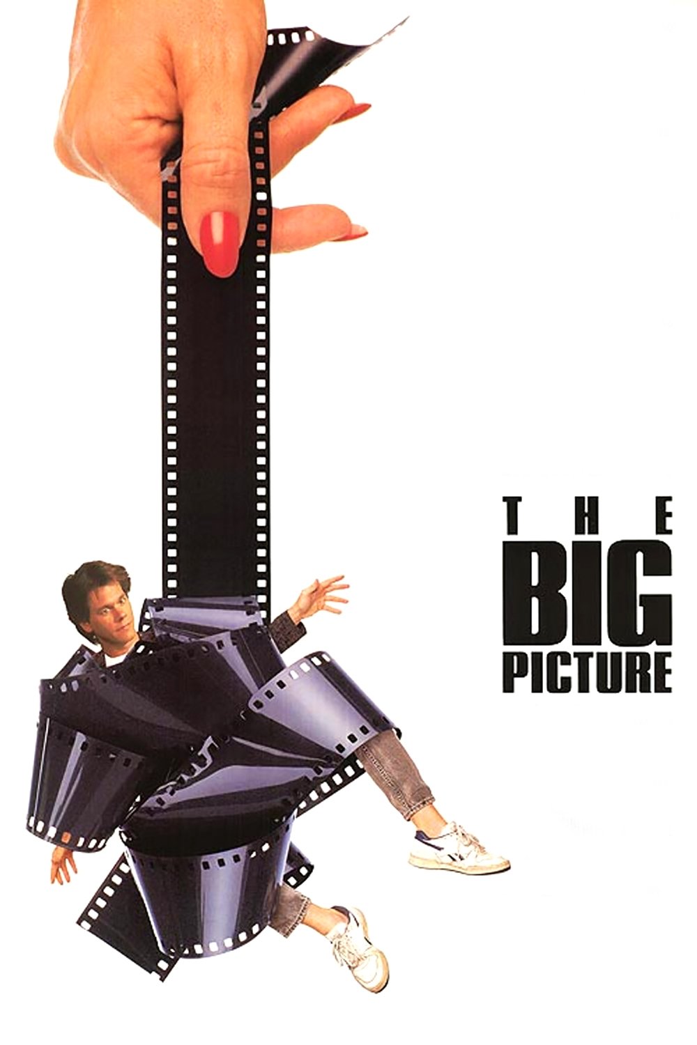  The Big Picture 