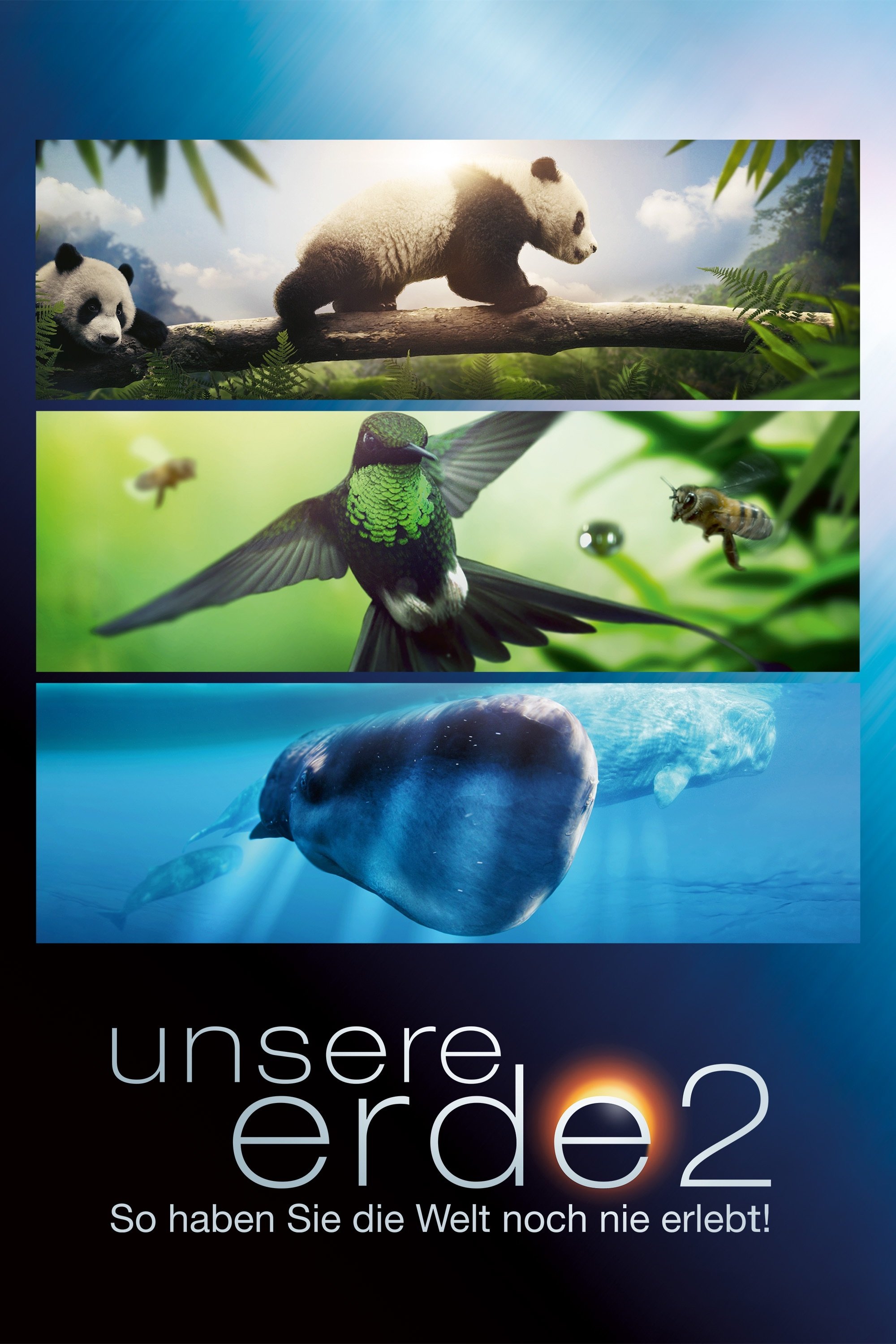  Unsere Erde 2 