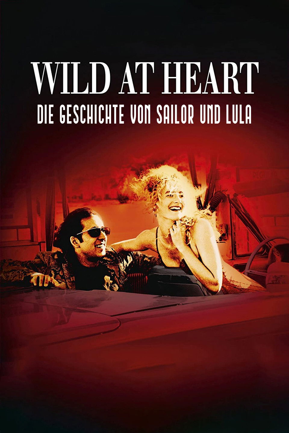  Wild at Heart 