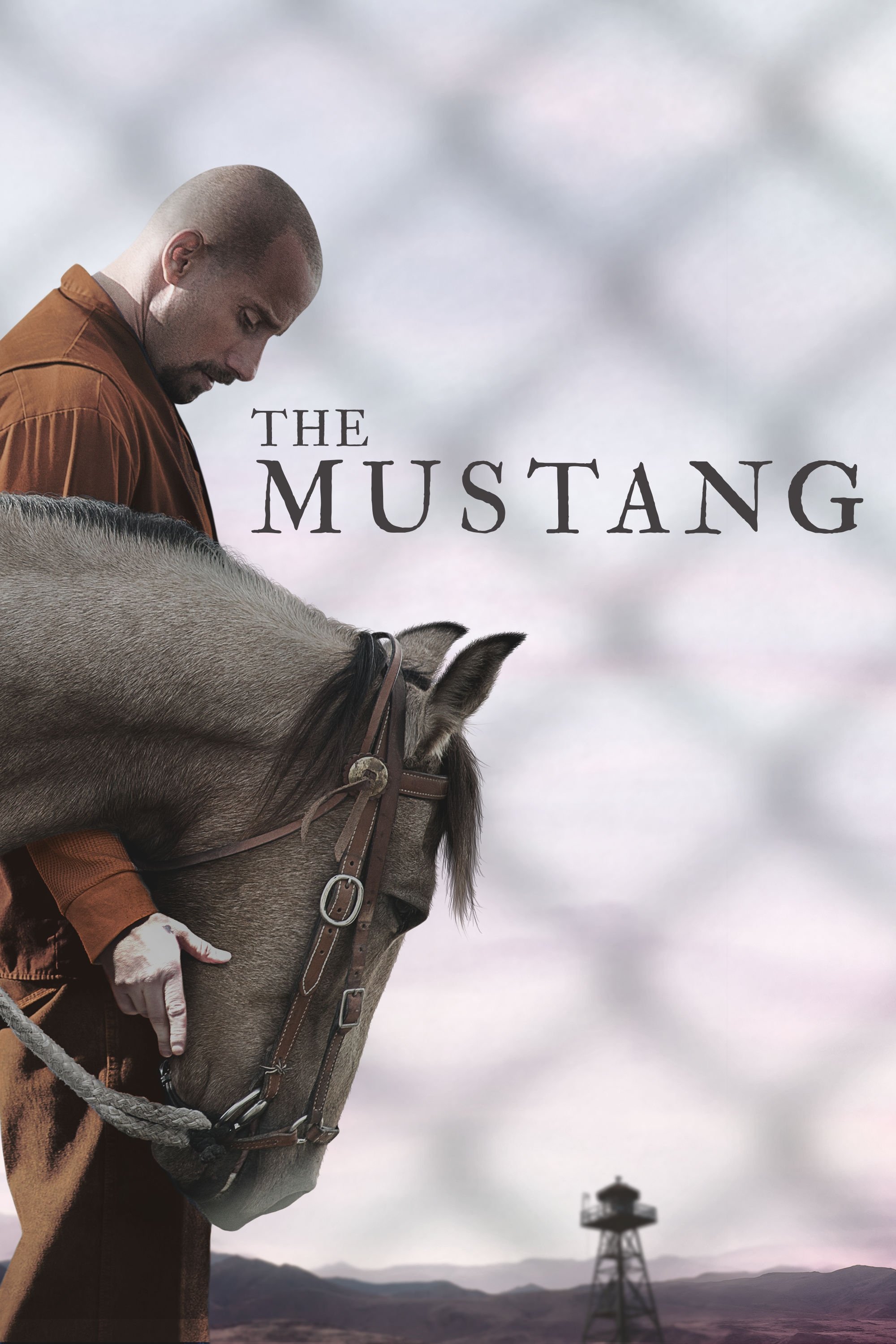  The Mustang 