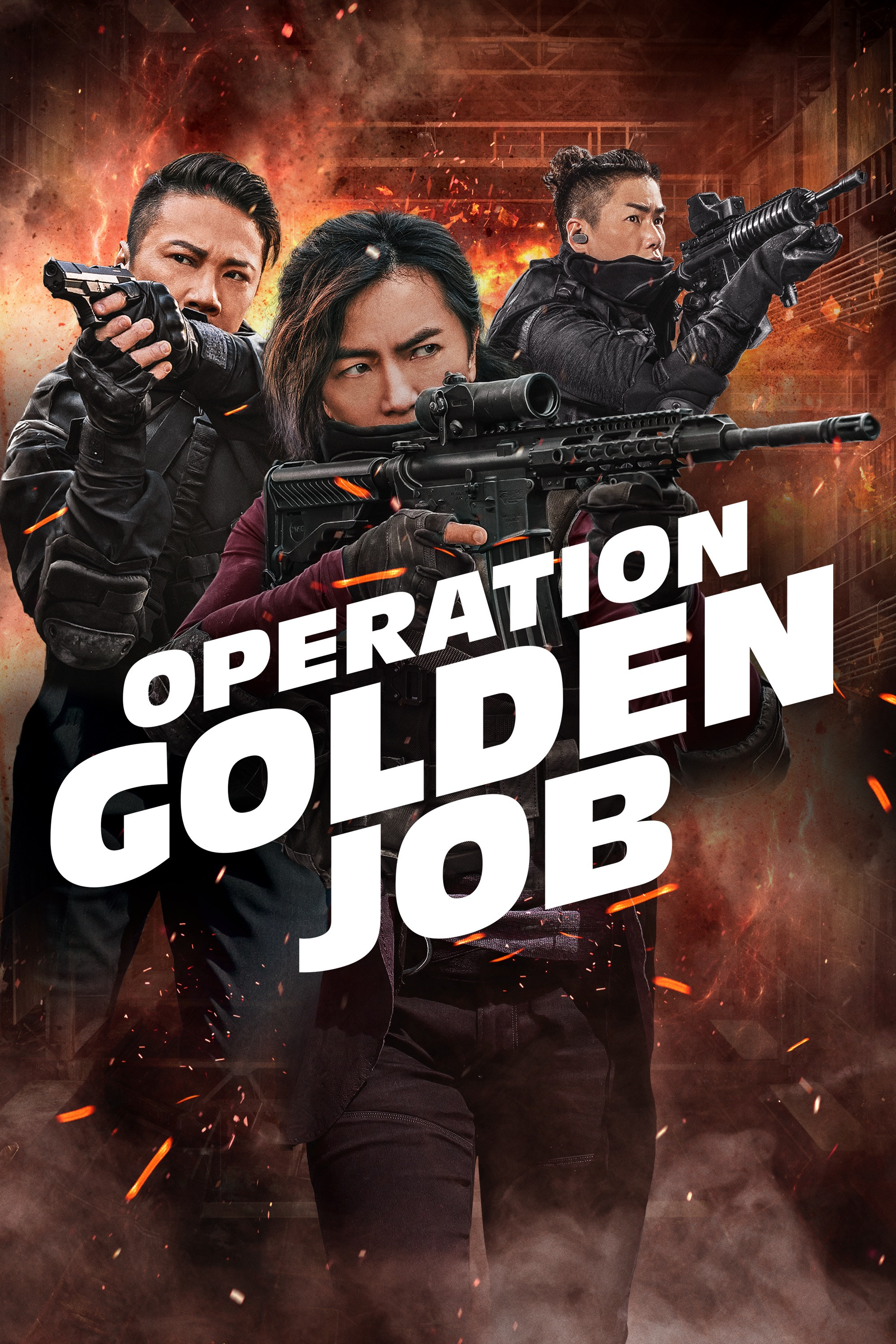  Operation Golden Job 