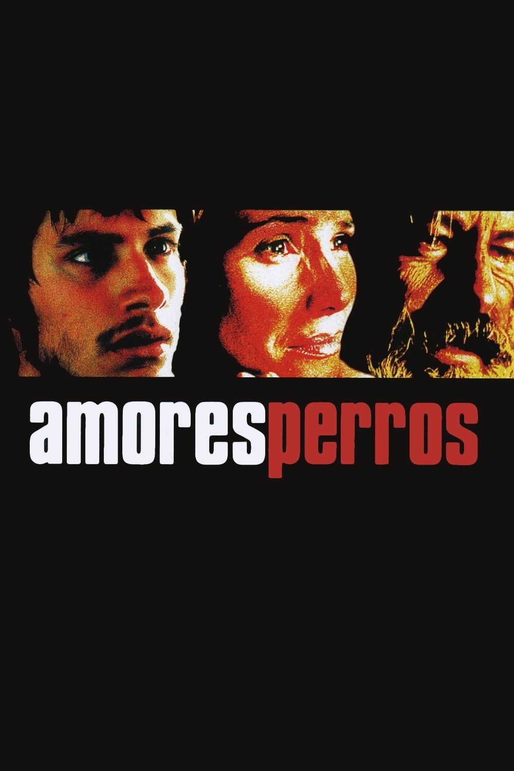 Amores perros 