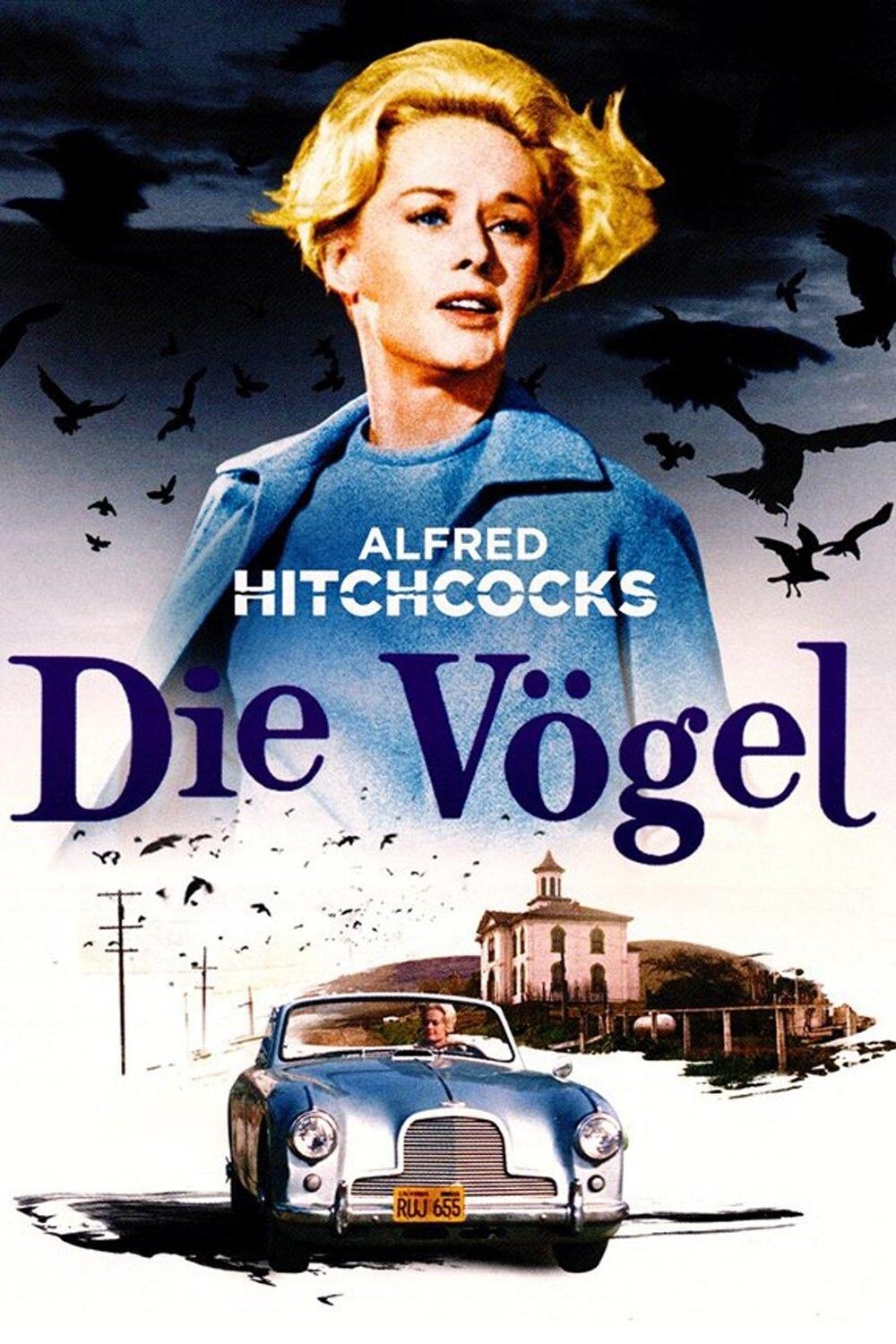  Die Vögel 