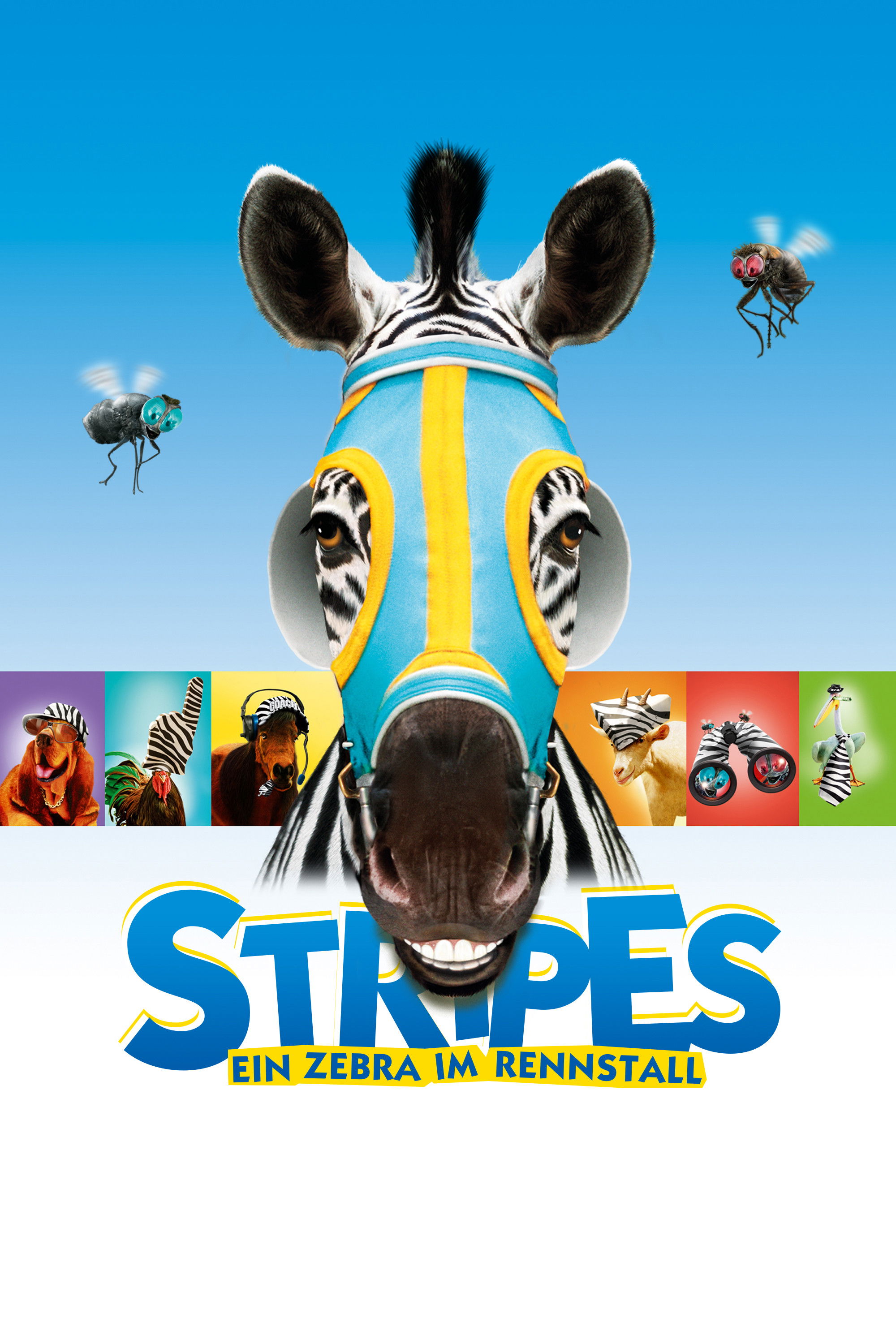  Im Rennstall ist das Zebra los 