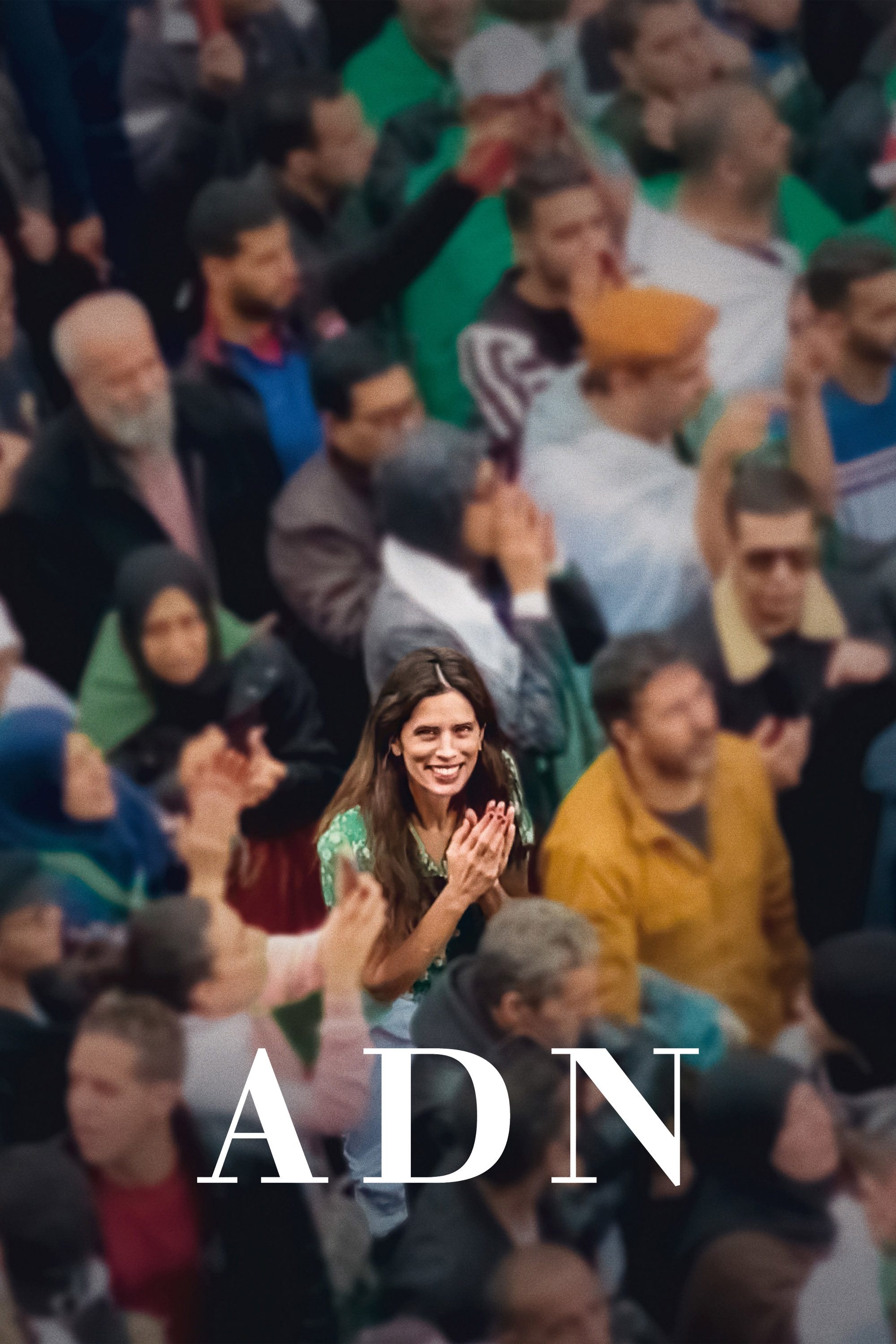  ADN 