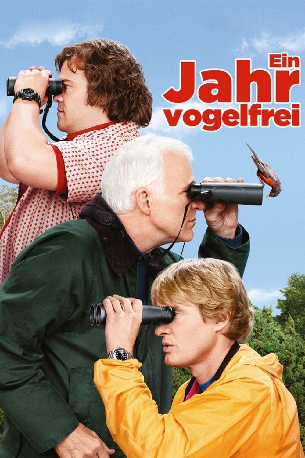  Ein Jahr vogelfrei! 