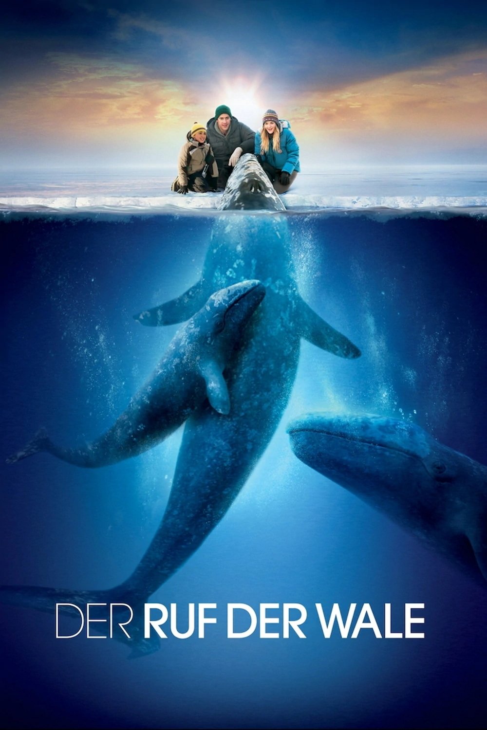  Der Ruf der Wale 