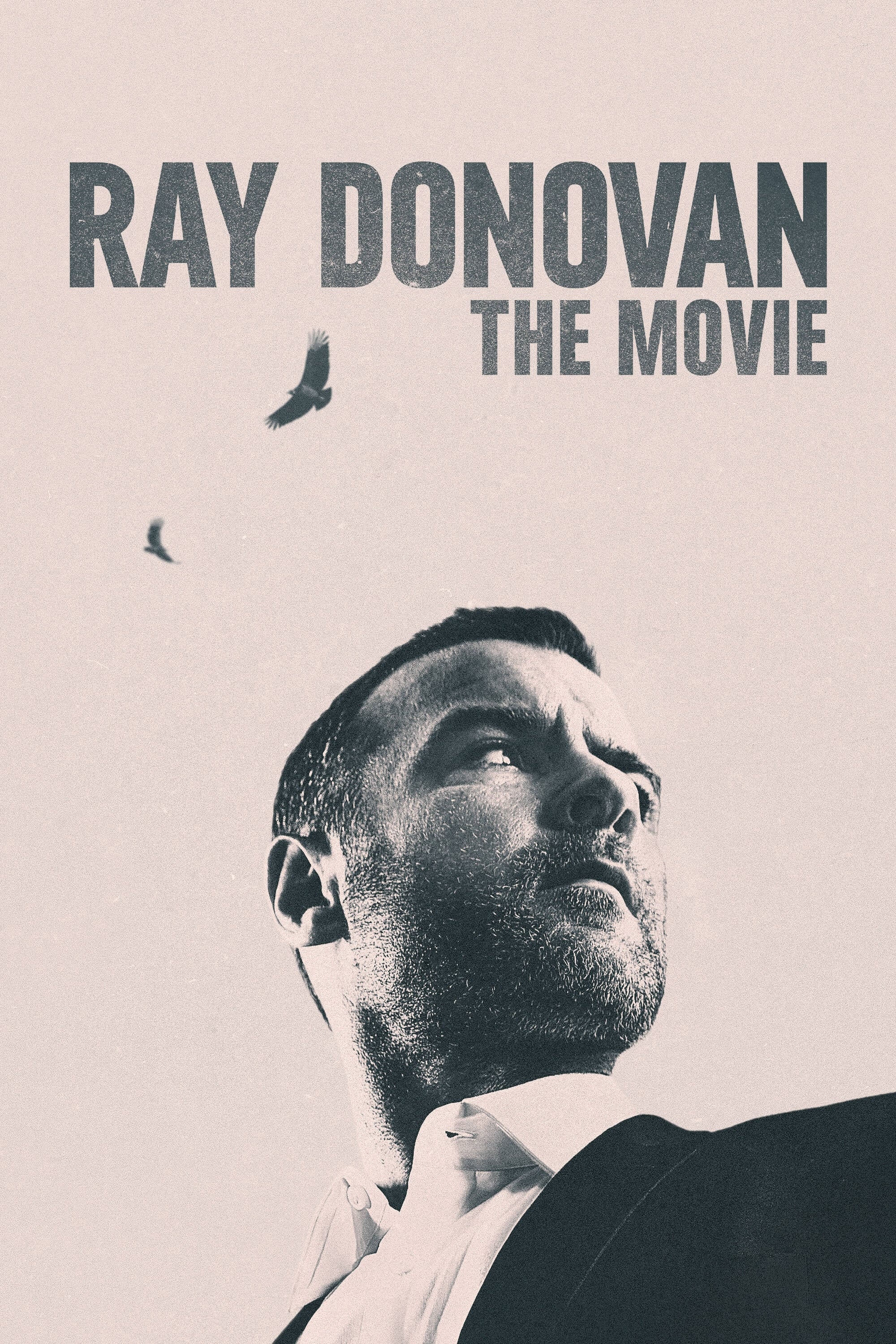  Ray Donovan: The Movie 