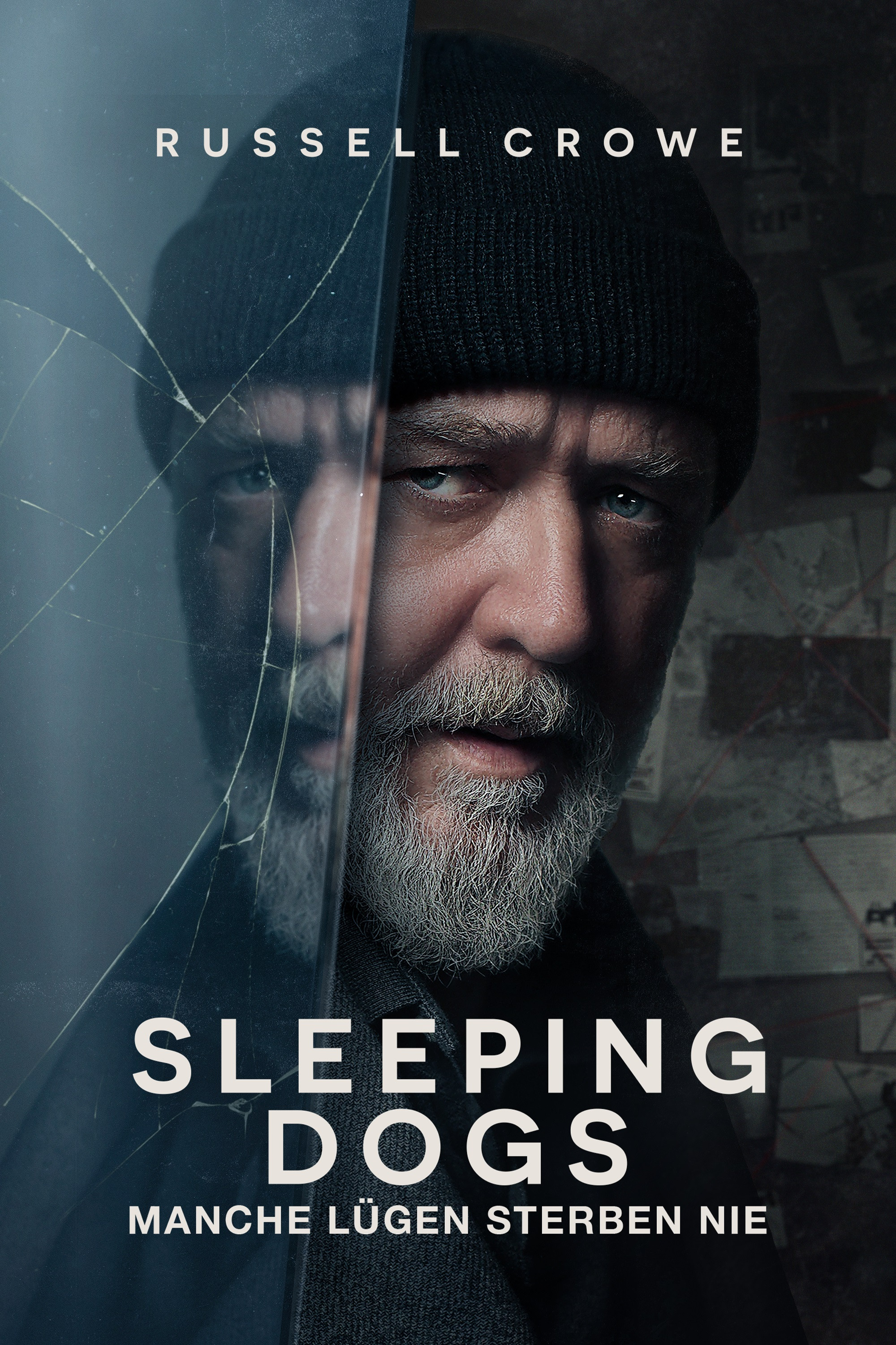  Sleeping Dogs 