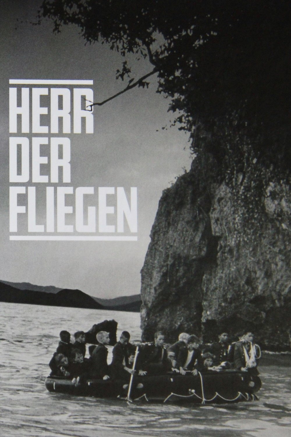  Herr der Fliegen 