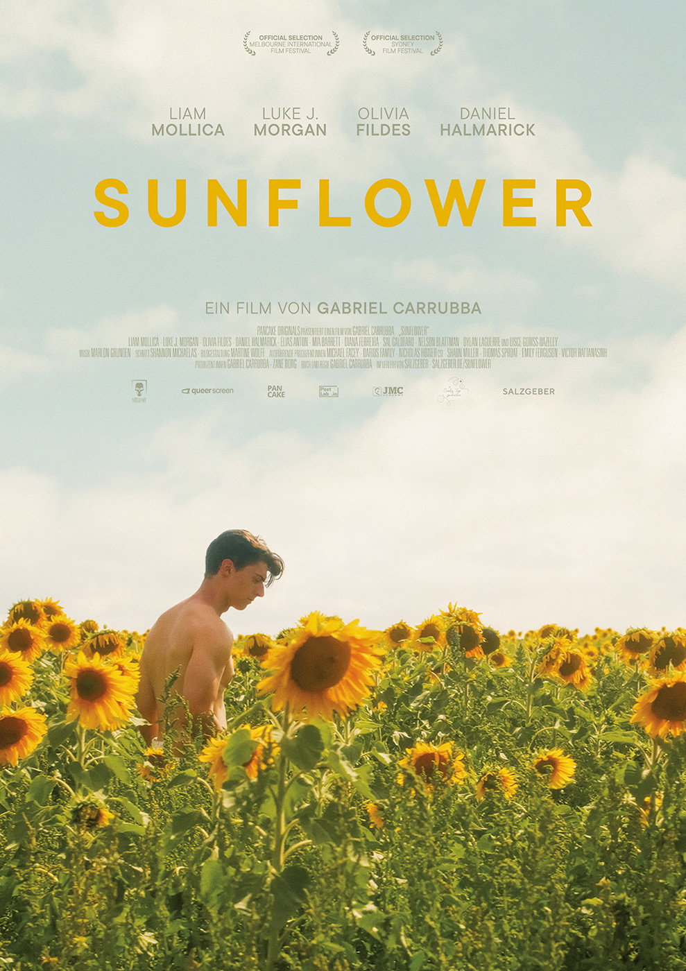  Sunflower 