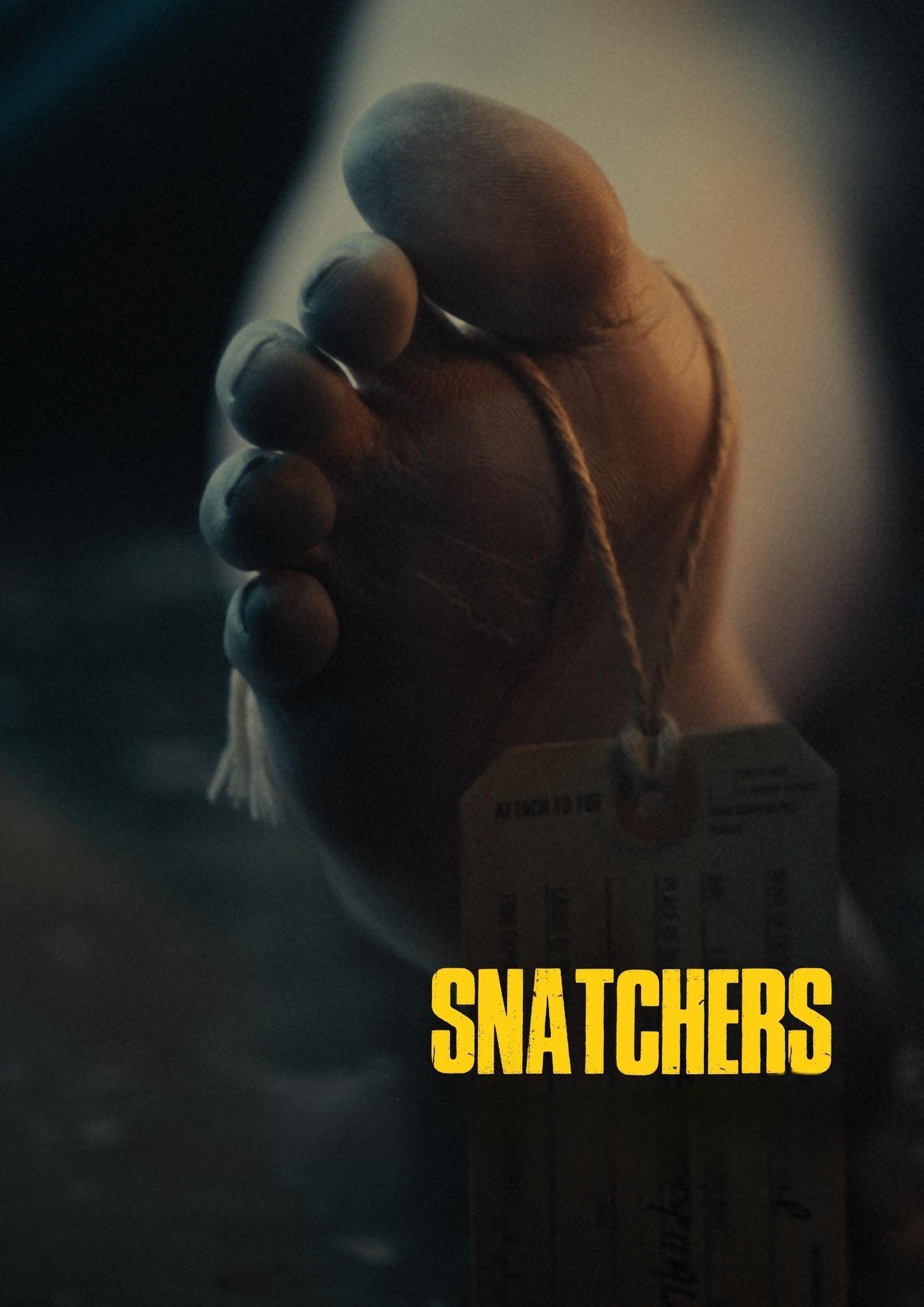  Snatchers 