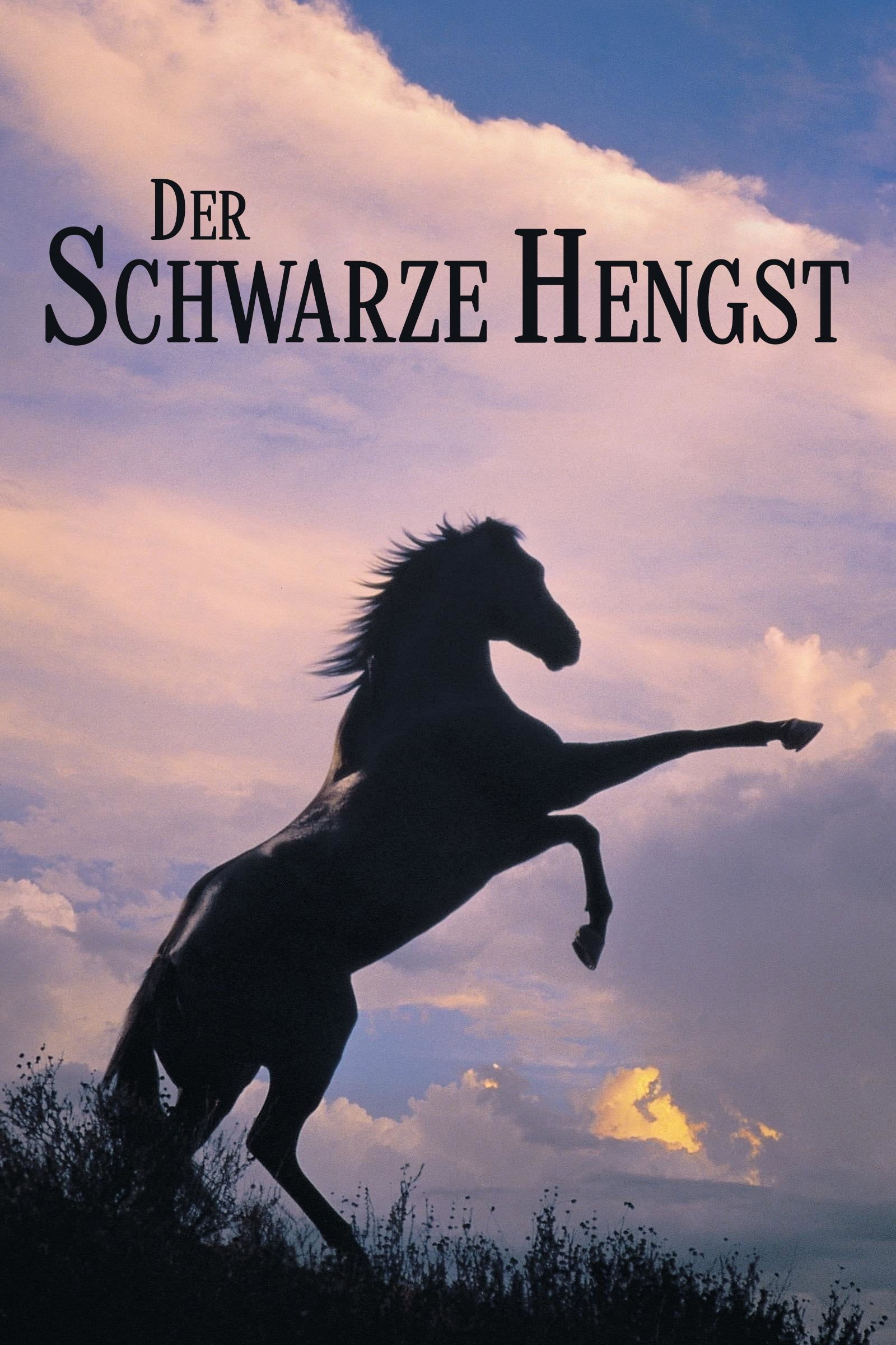  Der schwarze Hengst 