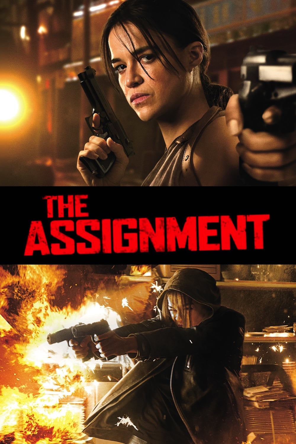  The Assignment 