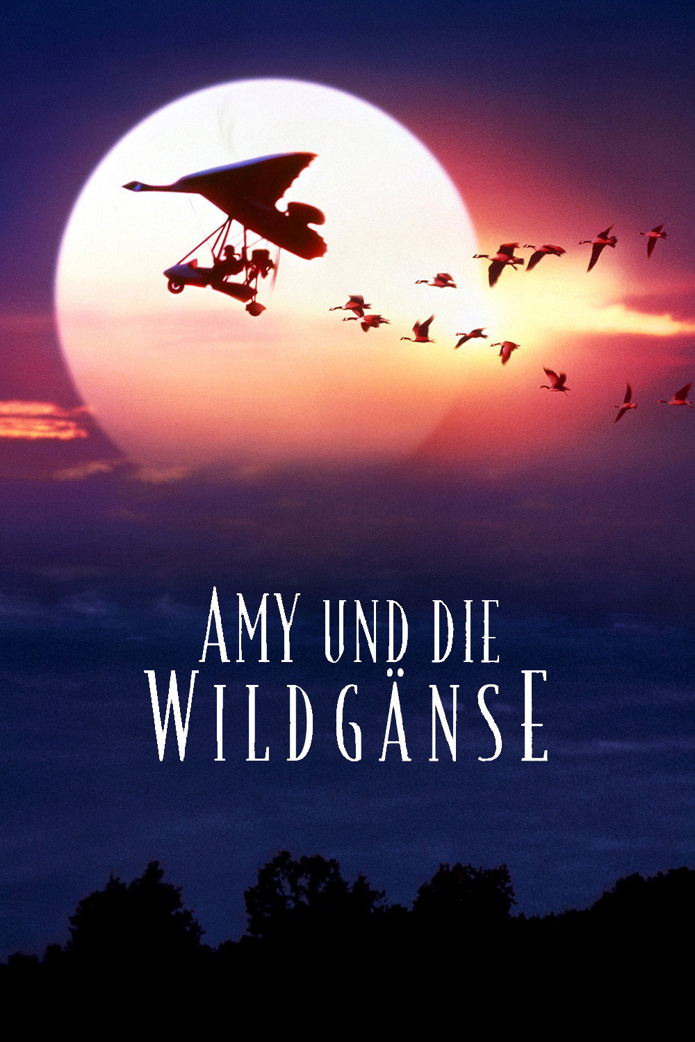  Amy und die Wildgänse 