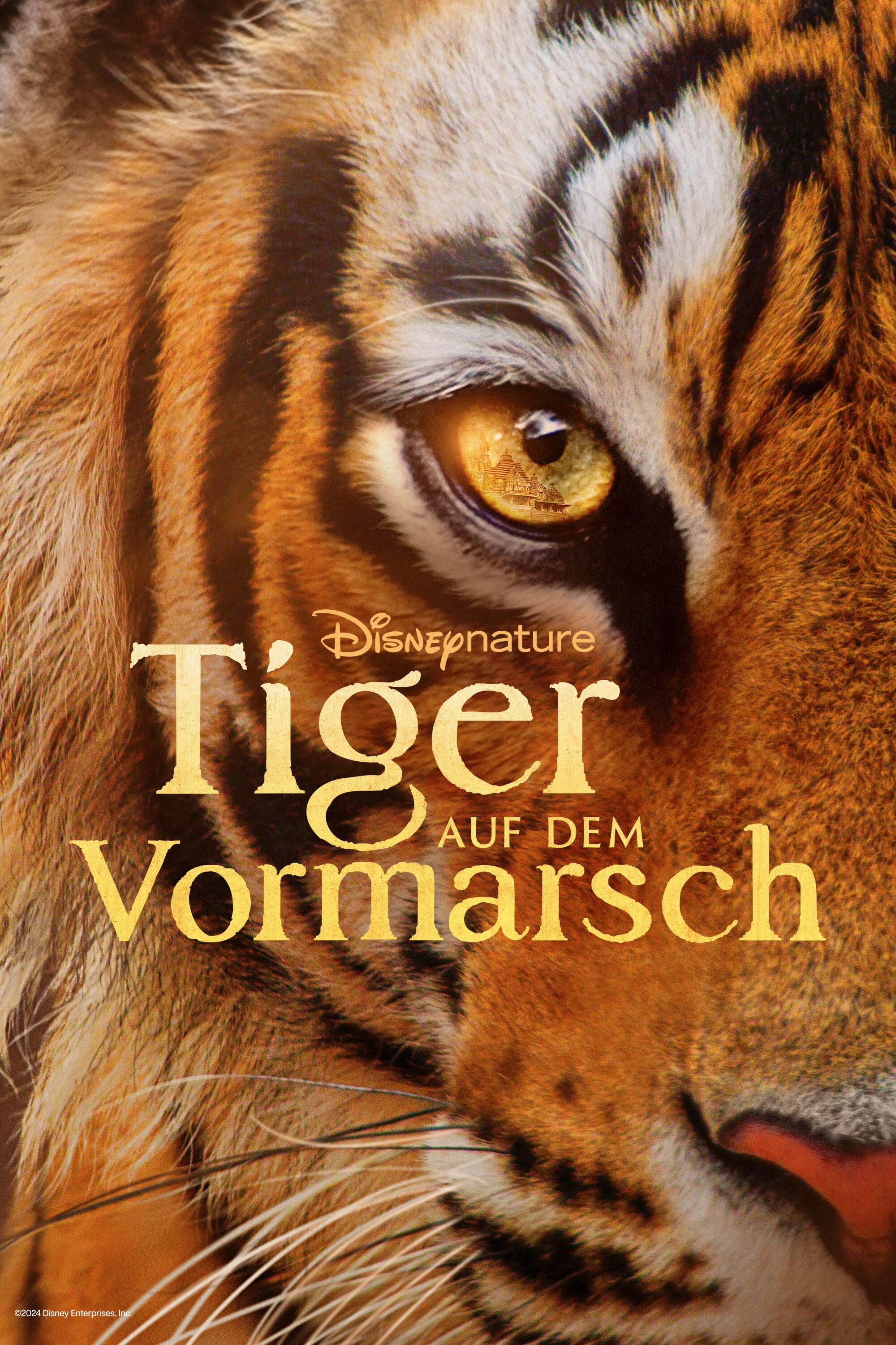  Tiger auf dem Vormarsch 
