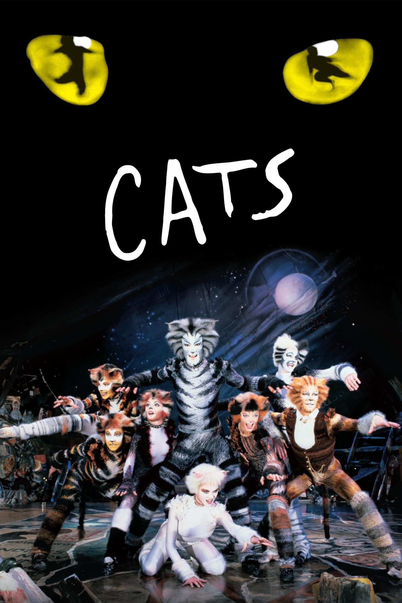  Cats 