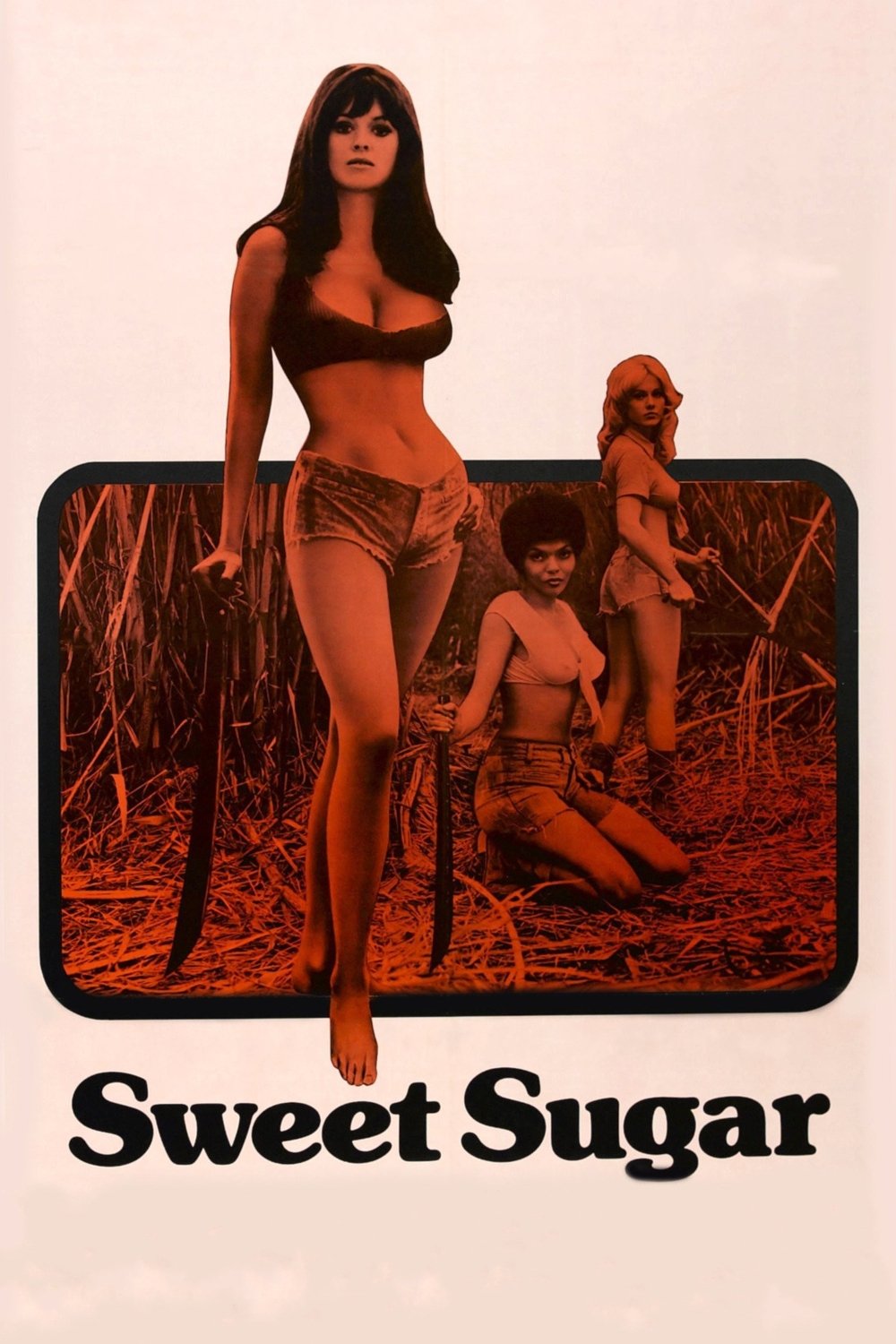  Sweet Sugar - Wildkatzen im Frauencamp 