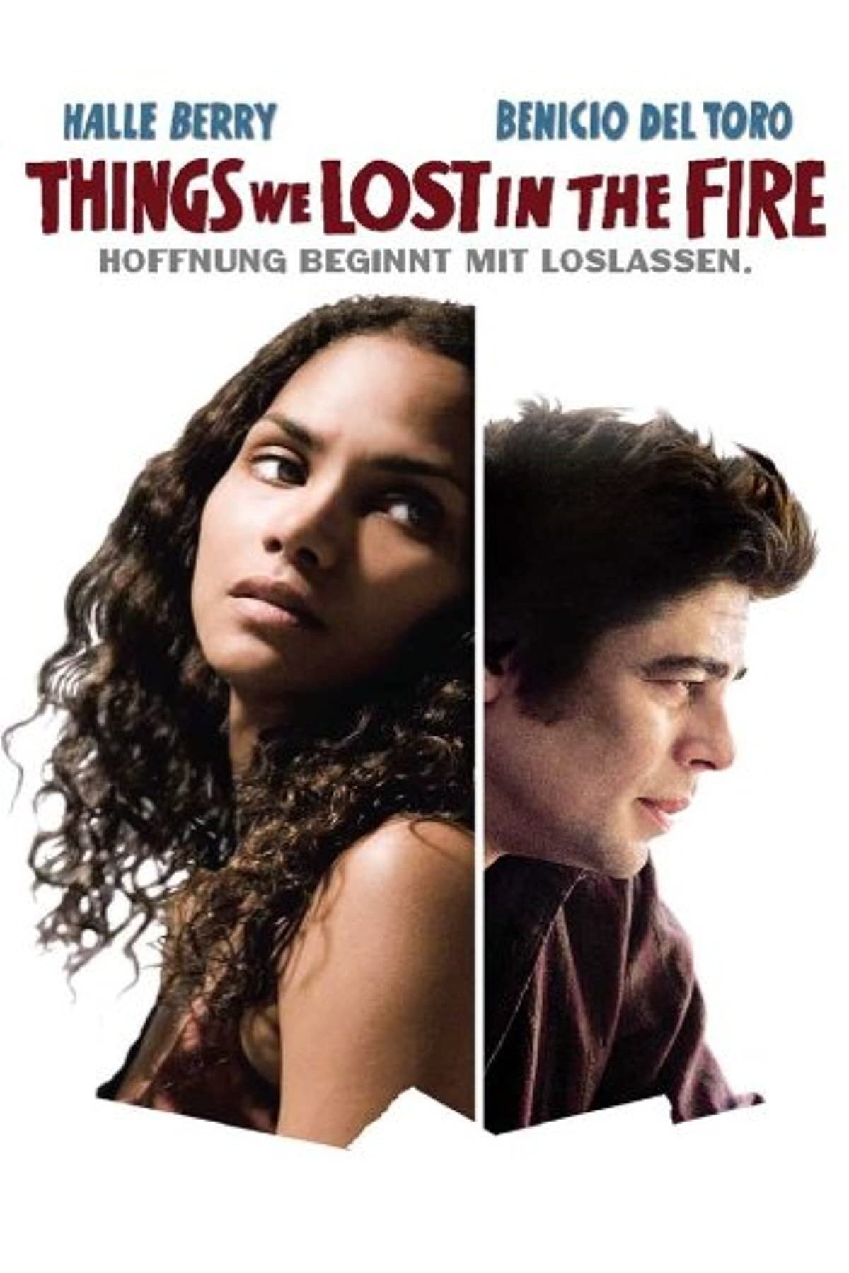  Things We Lost in the Fire 